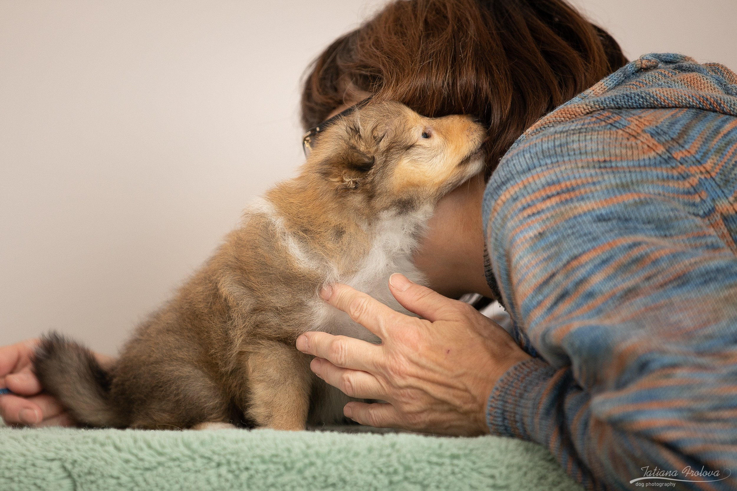 Съёмка щенков дома. Фотограф-анималист в Москве и Московской области Татьяна Фролова
