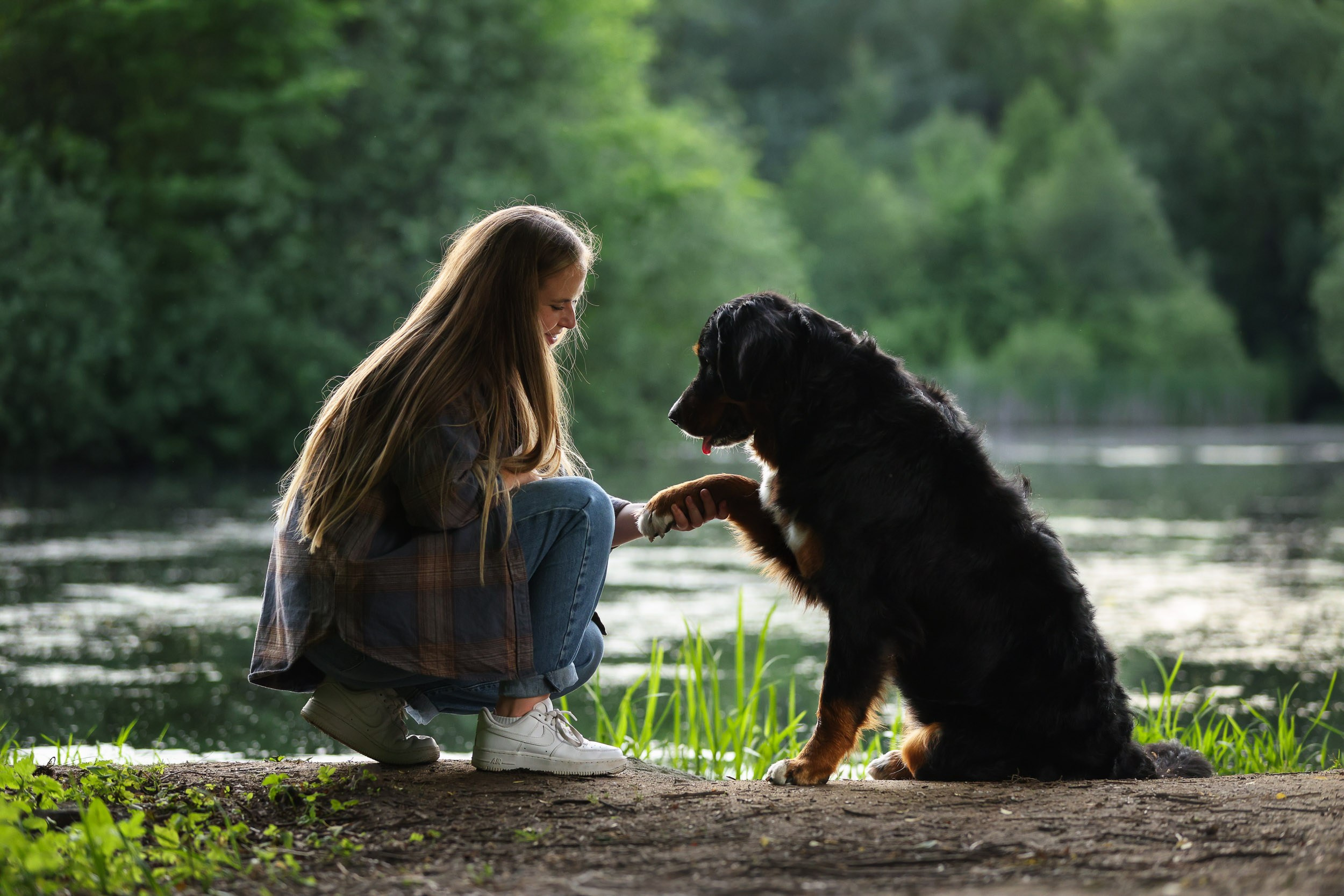 Фотопрогулка для четырех человек с собаками. Фотограф-анималист в Москве и Московской области Татьяна Фролова