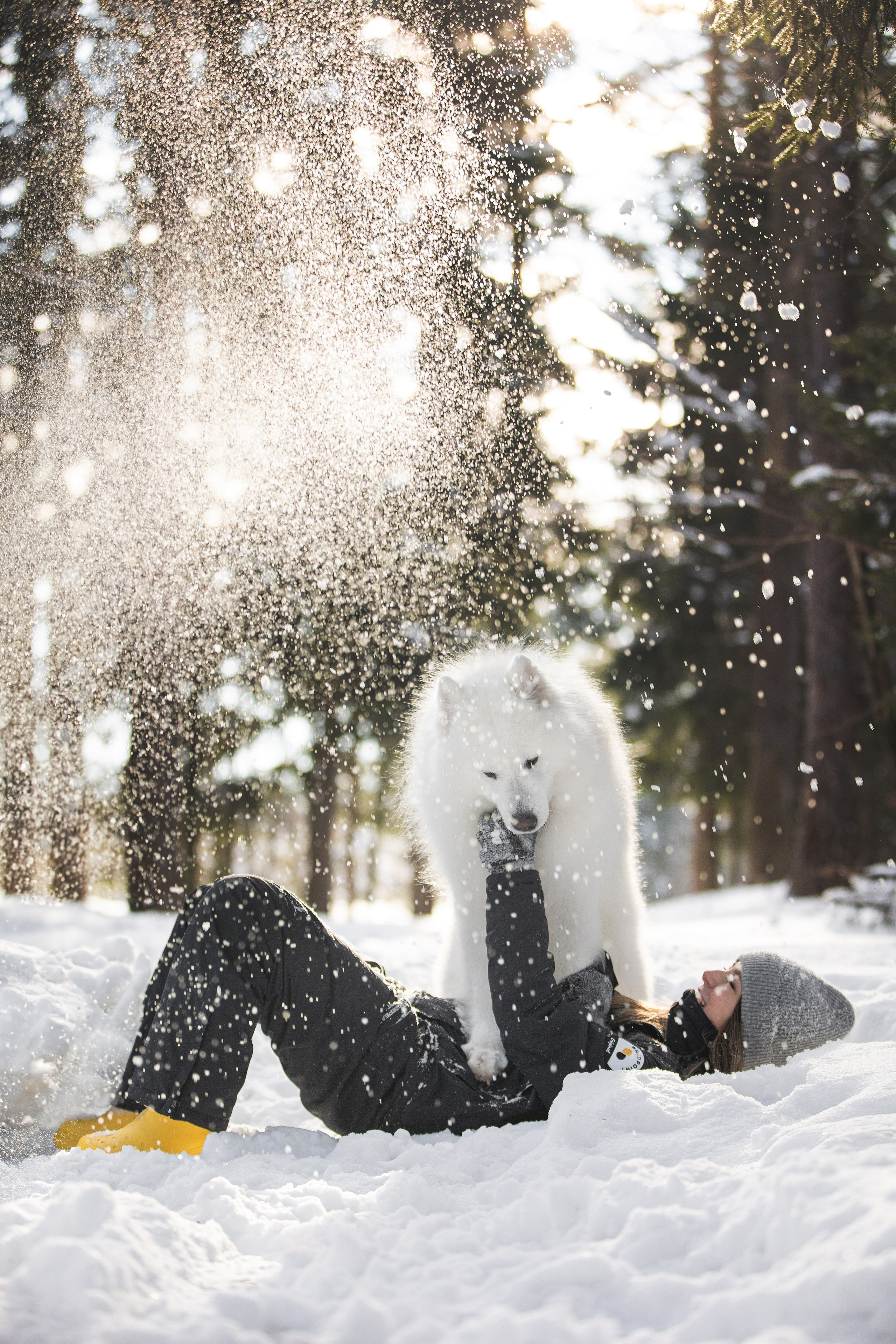 Дмитрий, Наталья и Панти. Фотограф анималист в Москве Майорова Евгения