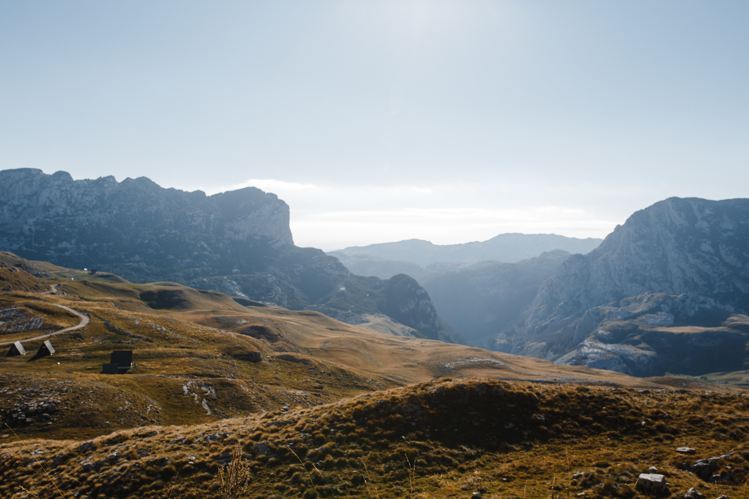 Отзывы. Wedding Photographer Tel-Aviv