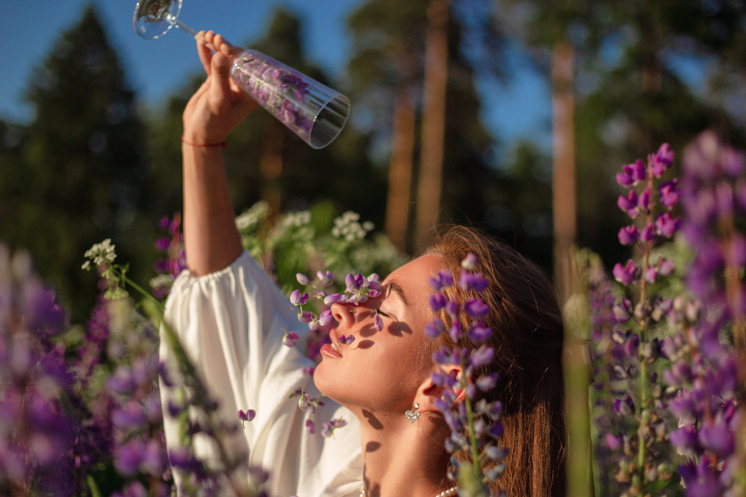 Люпины. Фотограф Москва / Балашиха