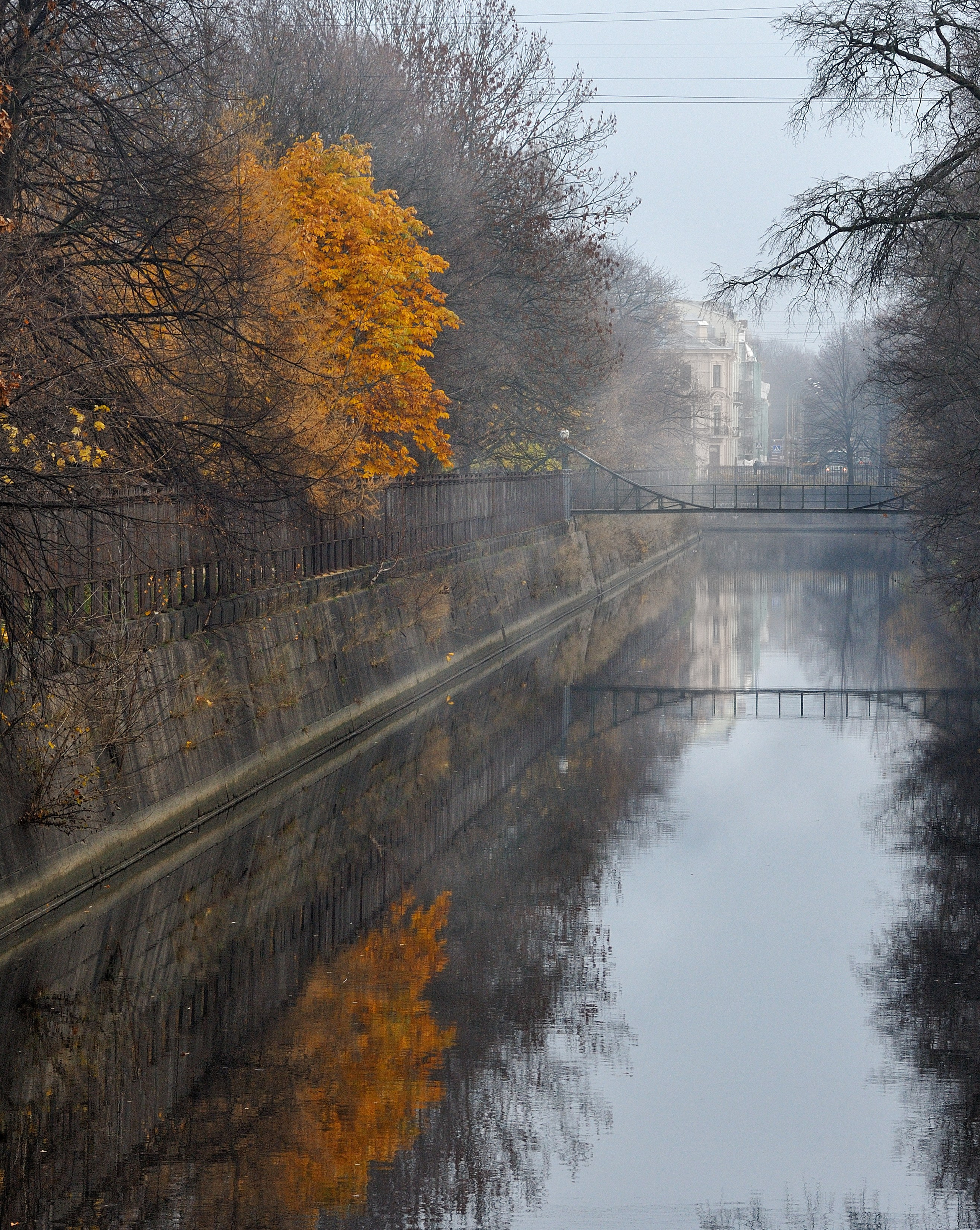 Осень. Пейзажный и предметный фотограф в Санкт-Петербурге Александр Богданов