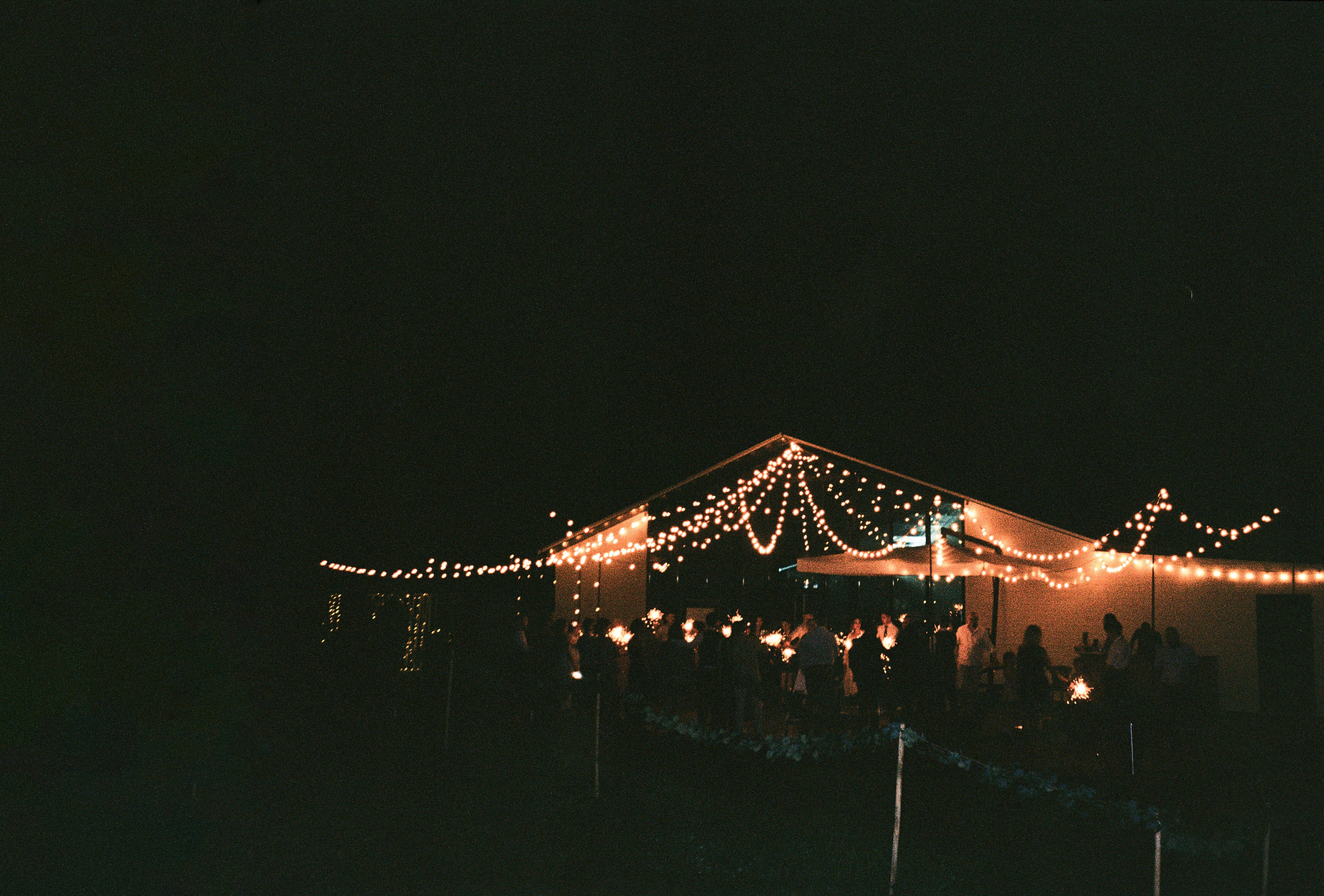 Пленка. Свадебный фотограф Москва Грузия Мотеюнайте Виктория