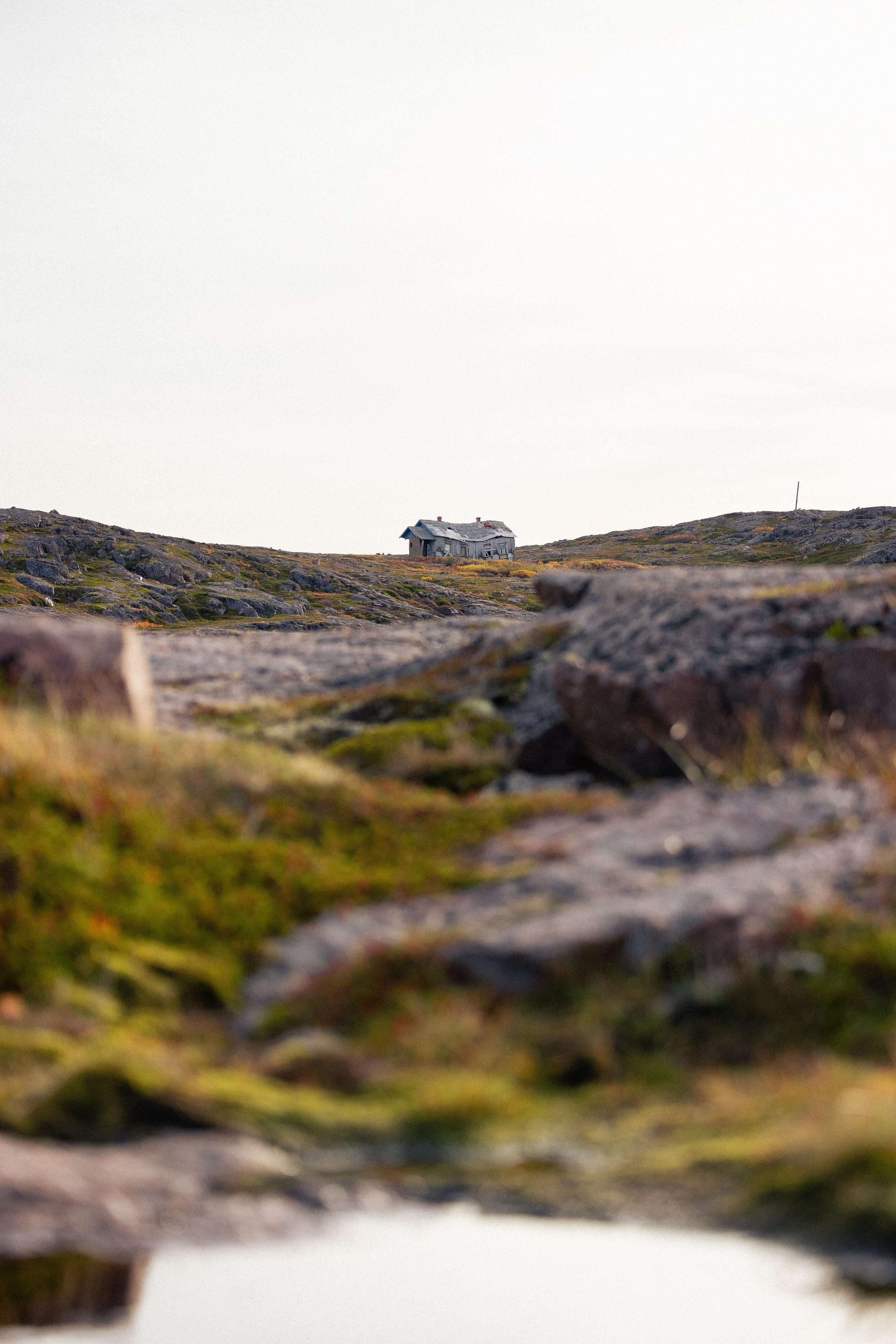 Кольский. Фотограф и видеограф анималист Аганина Дарья