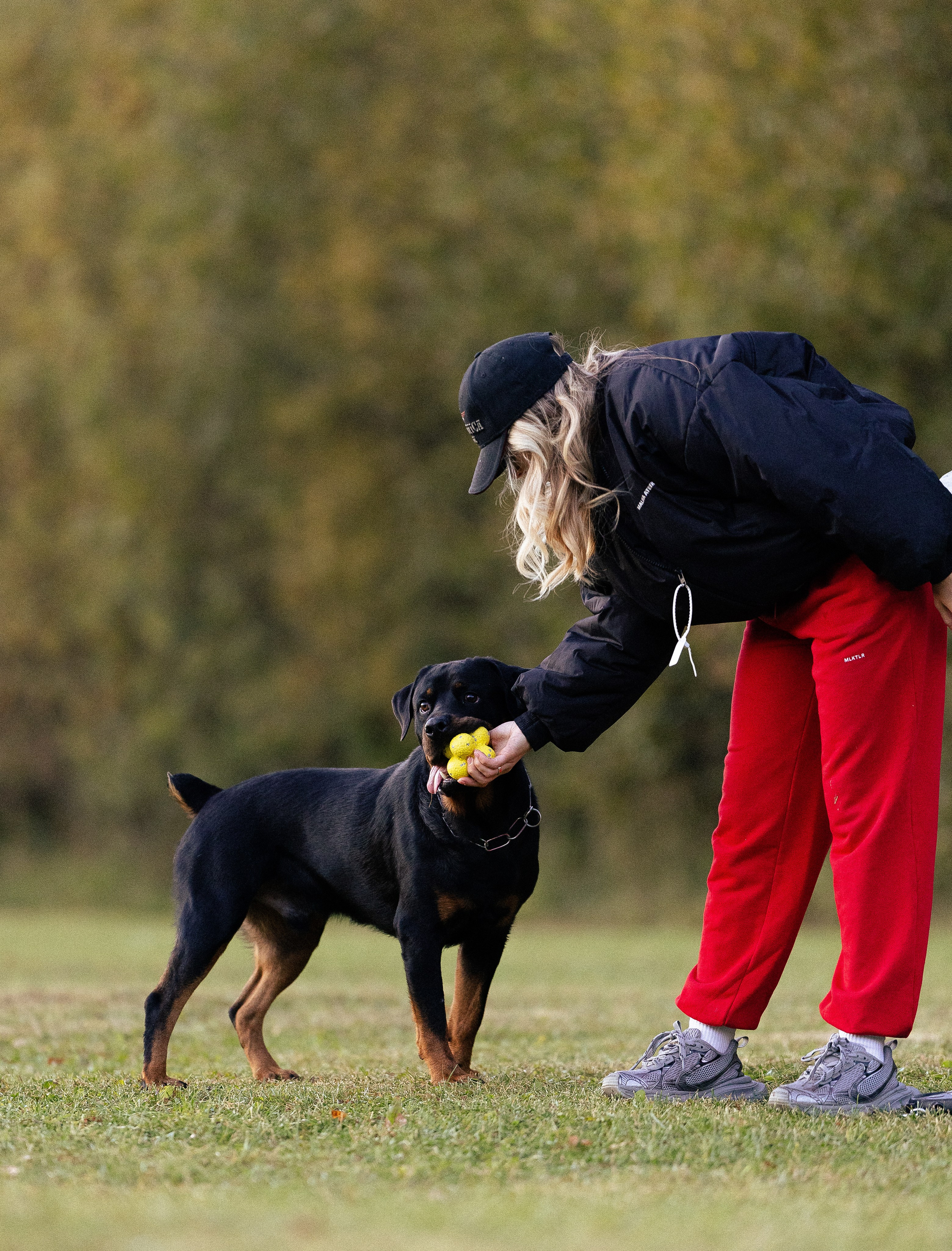 Катя, Леша, Лея и Трой. Фотограф и видеограф анималист Аганина Дарья