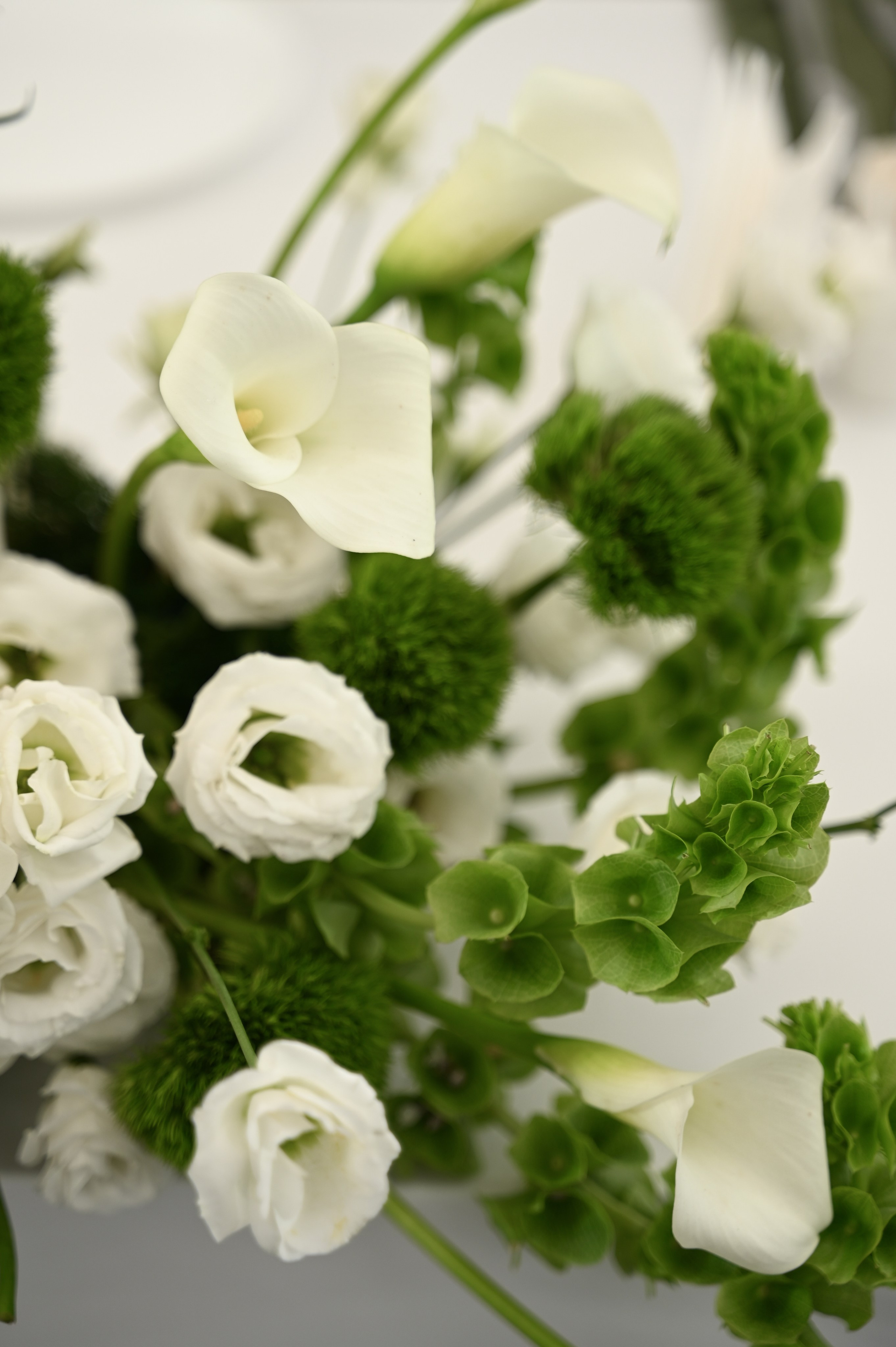 Ринат & Альбина. Свадебный и семейный фотограф в Уфе Александров Максим