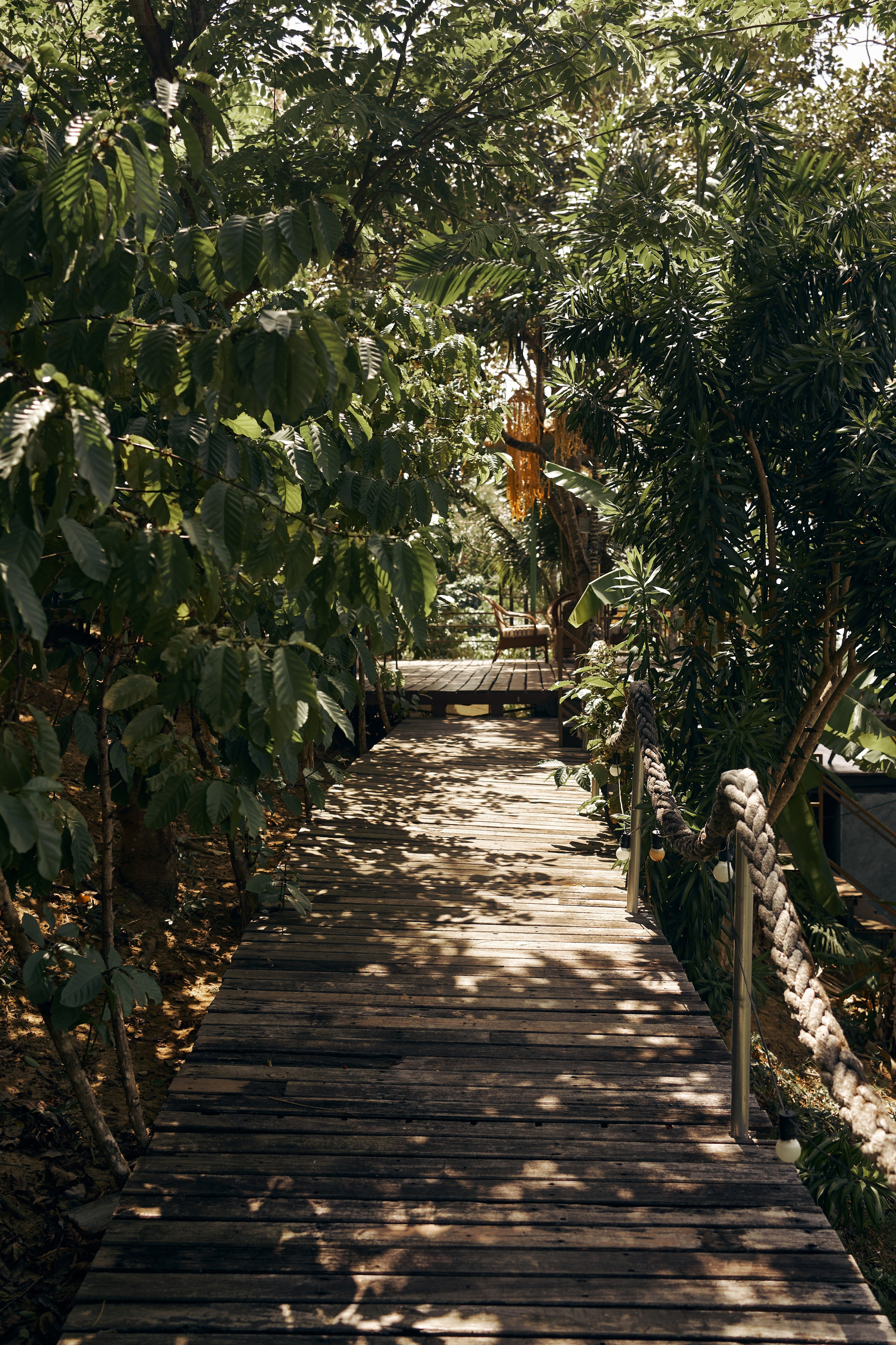 Jungle Farm. Mayskaya photography