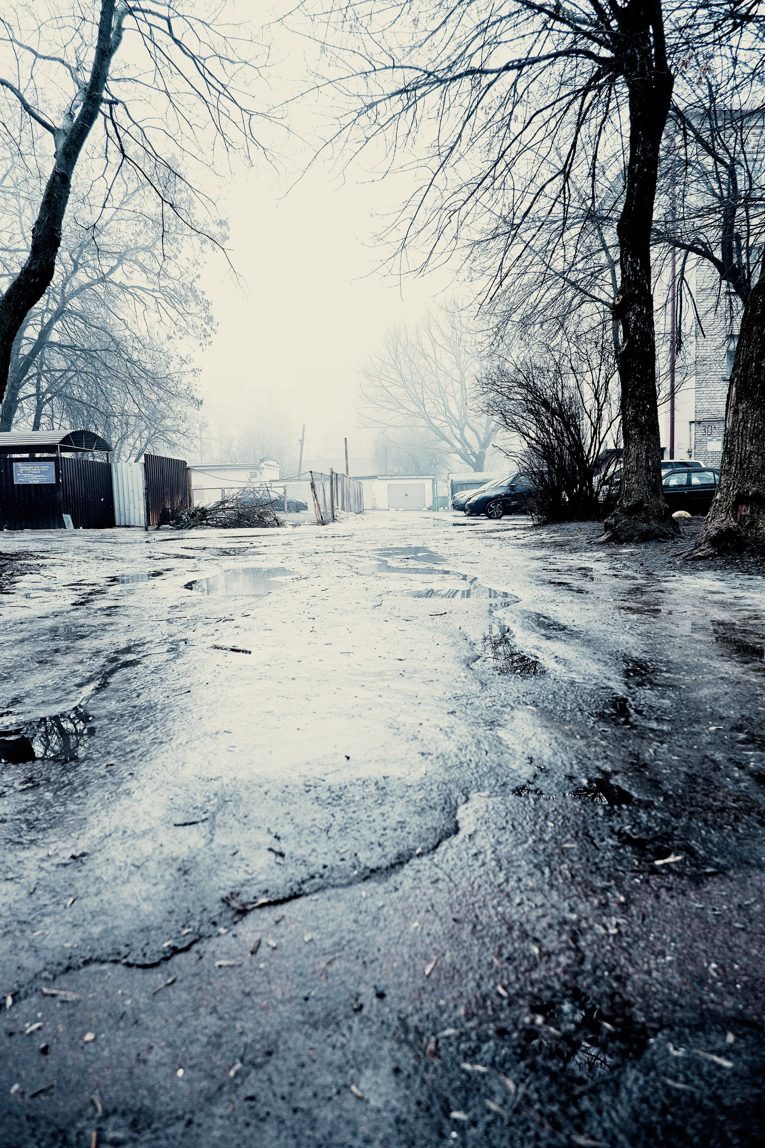 Street photo. Фотограф (photographer) Lischinski Vitaliy