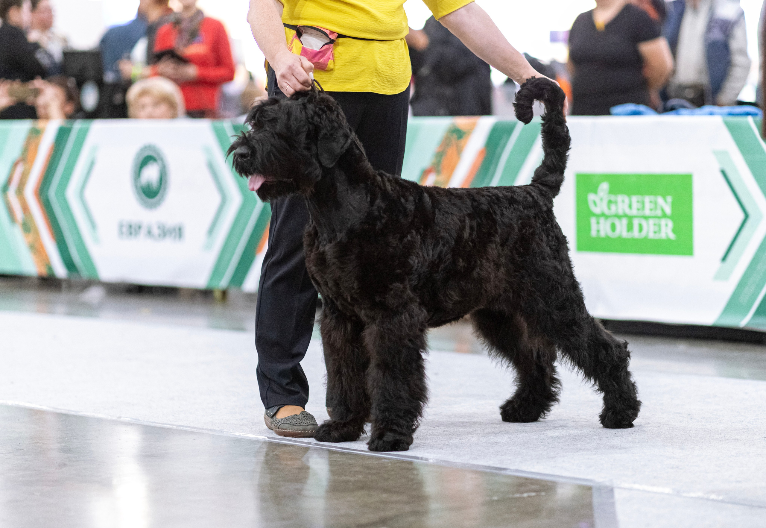 Евразия. Фотограф — анималист Татьяна Ли