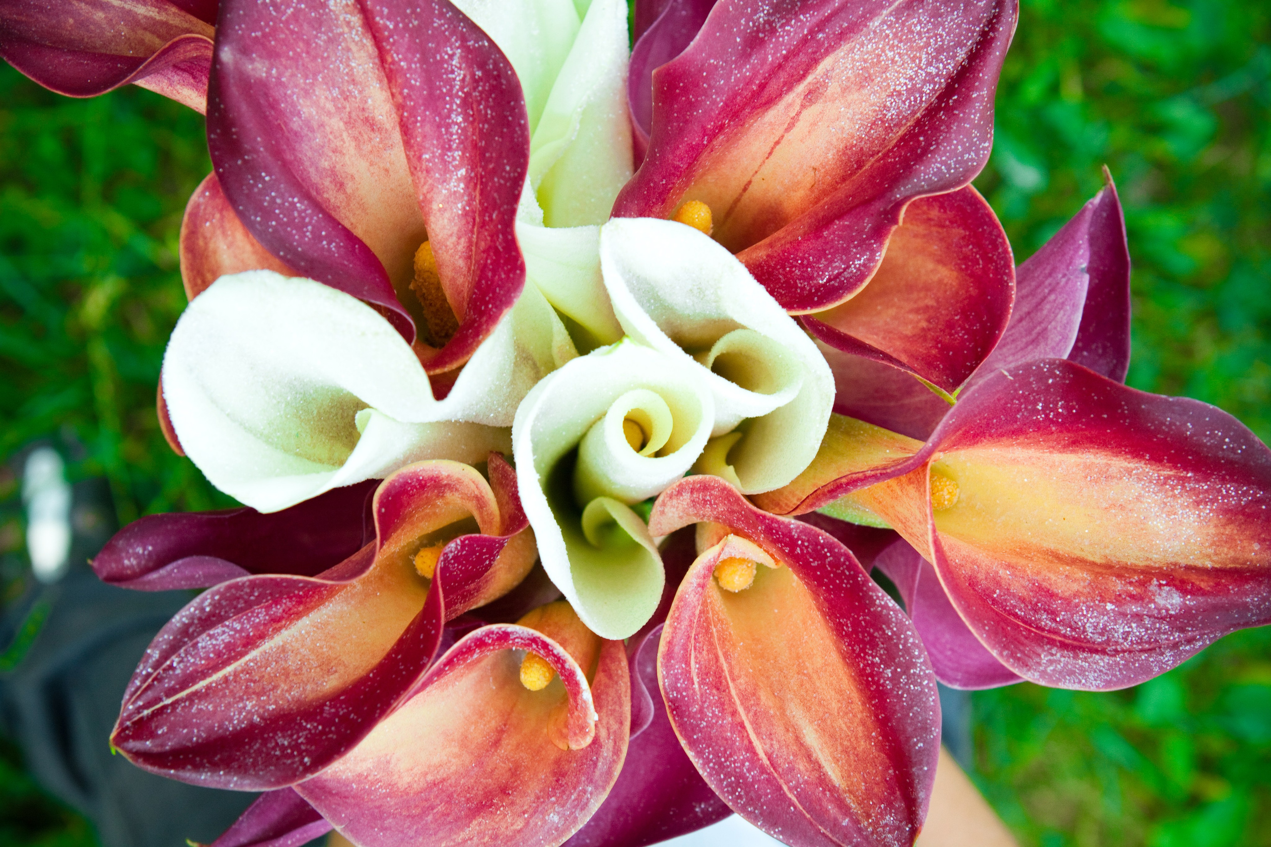 Венчание. Семейный детский фотограф Зульфия Сабирова Москва