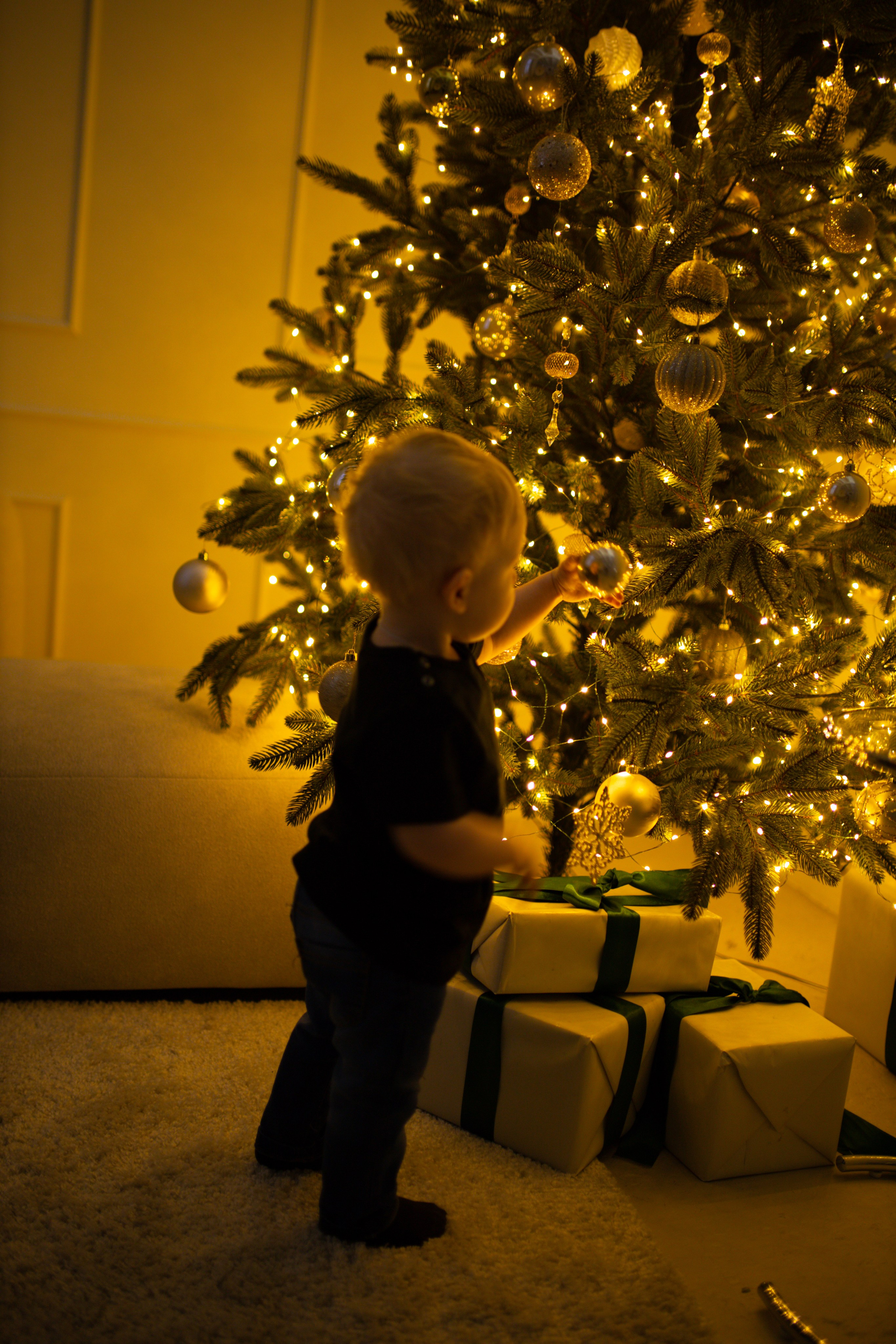 Семейная новогодняя фотосессия. Свадебный и семейный фотограф Виолетта в Липецке