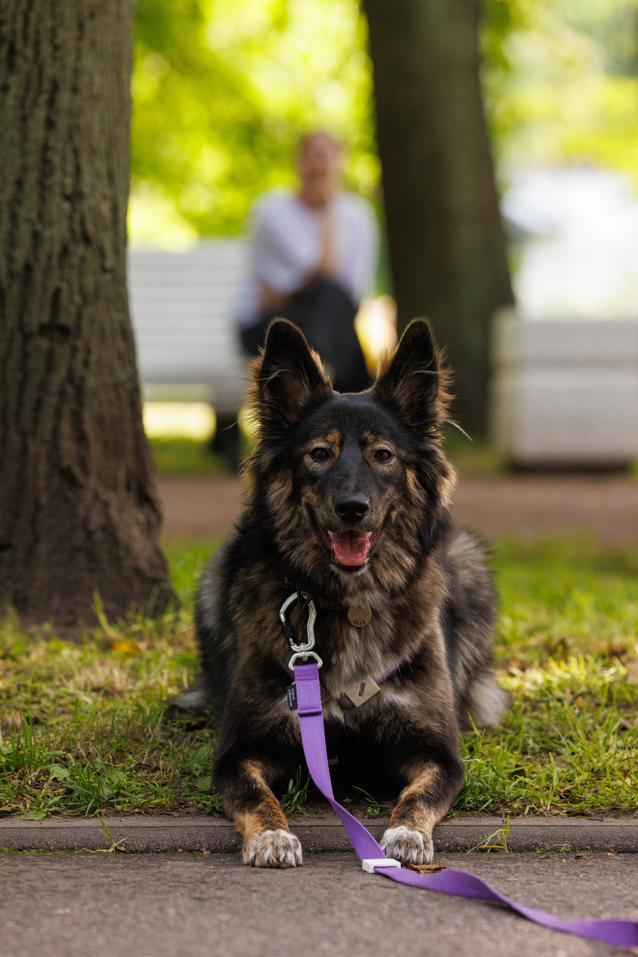 PetShopDays2026. Фотограф Александр Заломаев