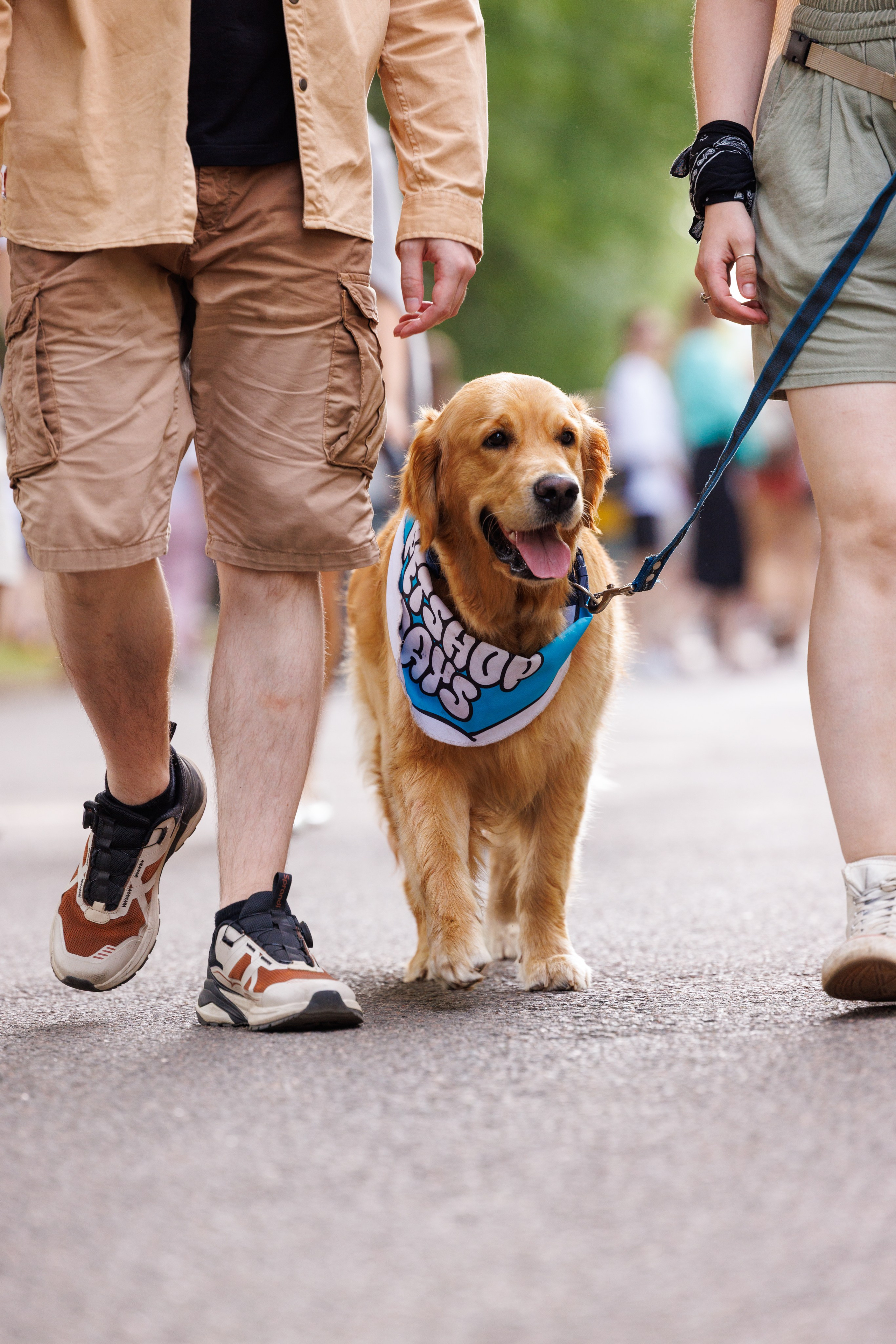 PetShopDays2026. Фотограф Александр Заломаев