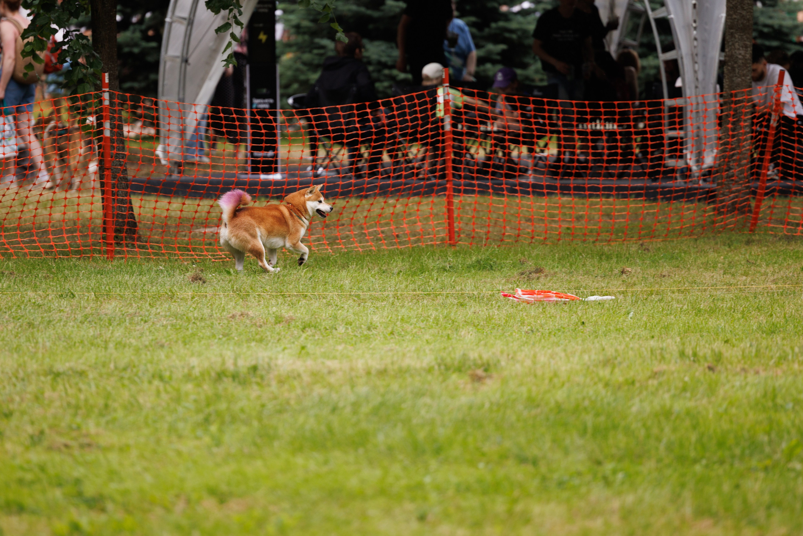 PetShopDays2026. Фотограф Александр Заломаев
