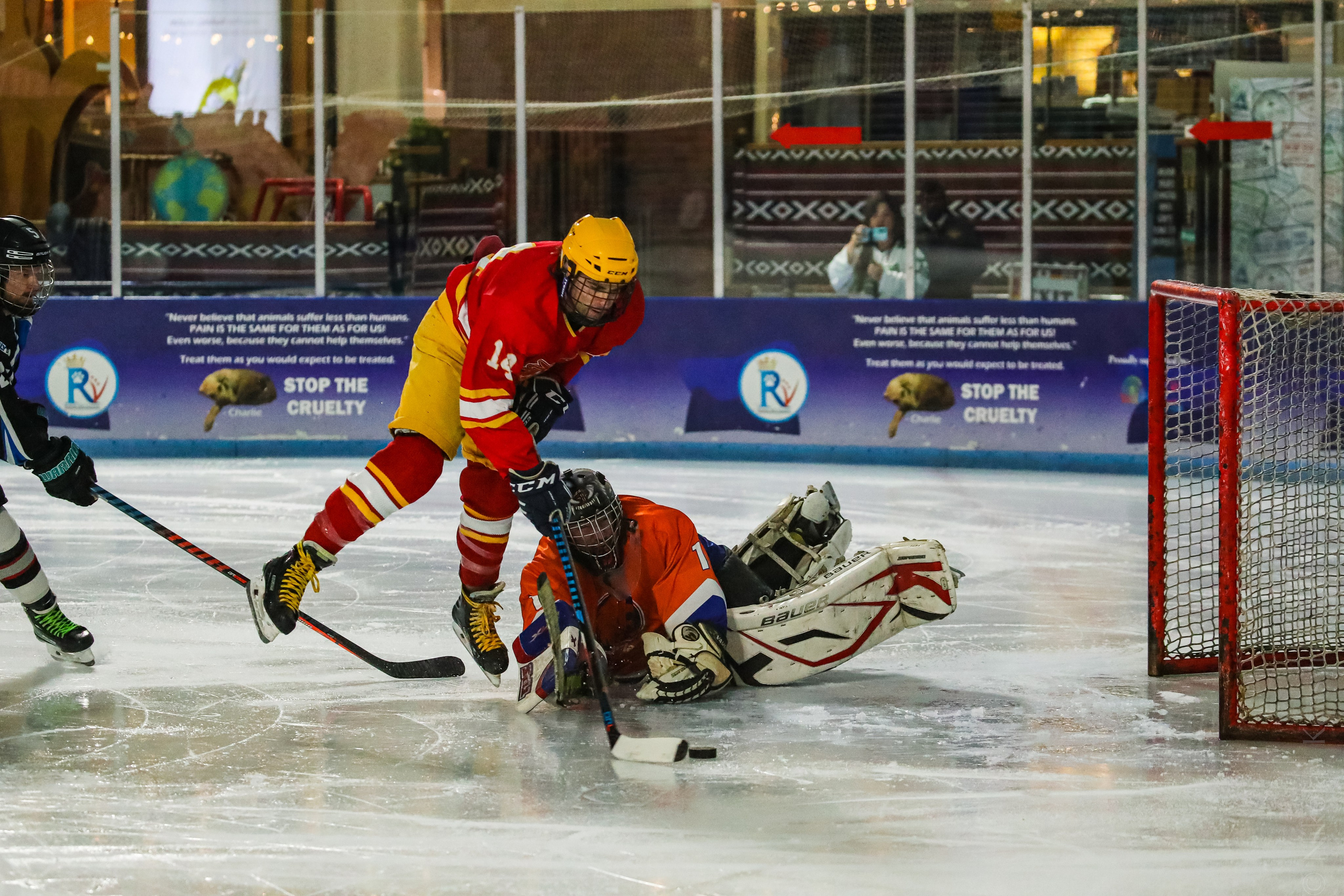 Хоккей. Фотограф в Москве портреты | репортажи | спорт