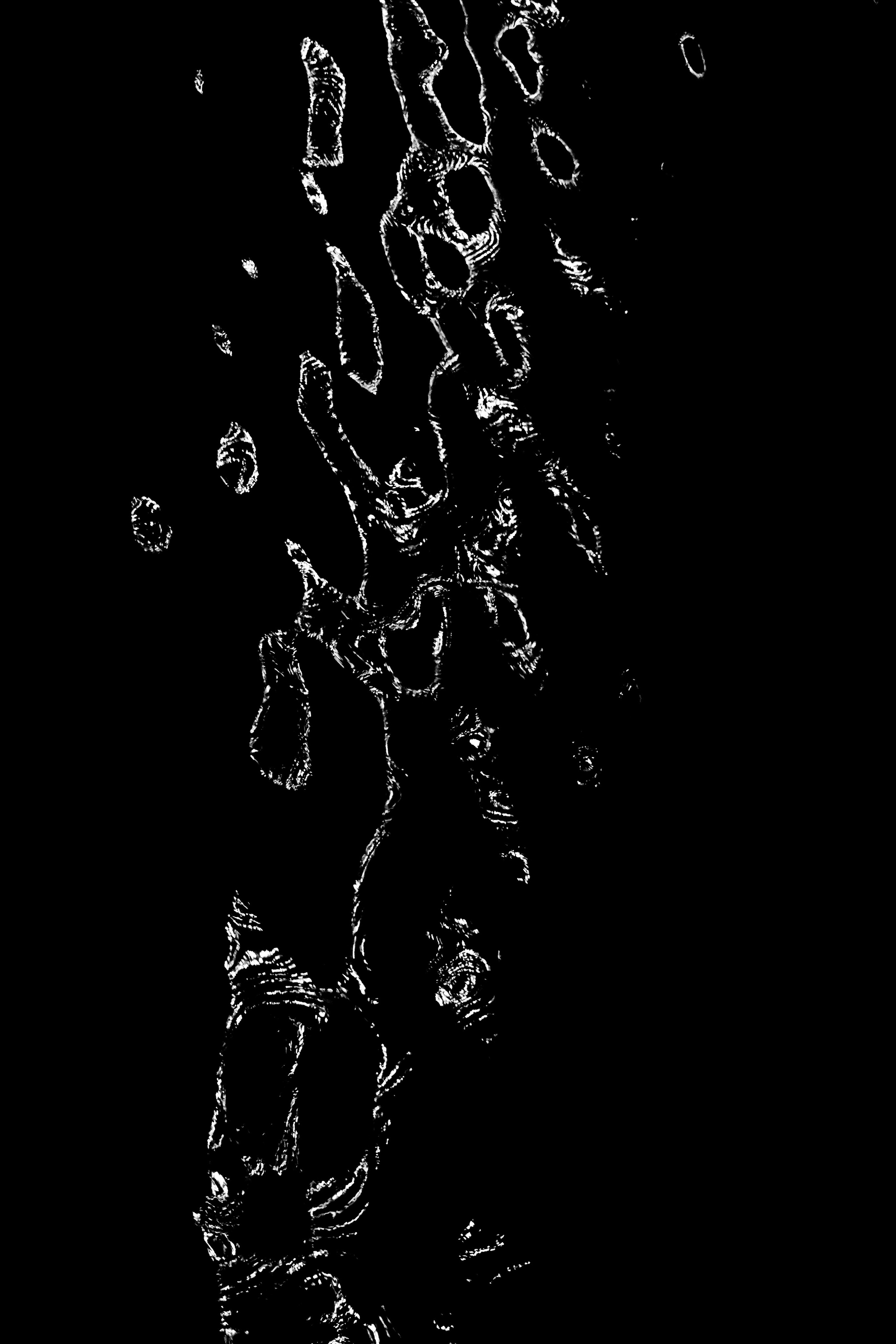 Lights over the Fontanka River. Natalia Carney — Photographer, Model, Blogger