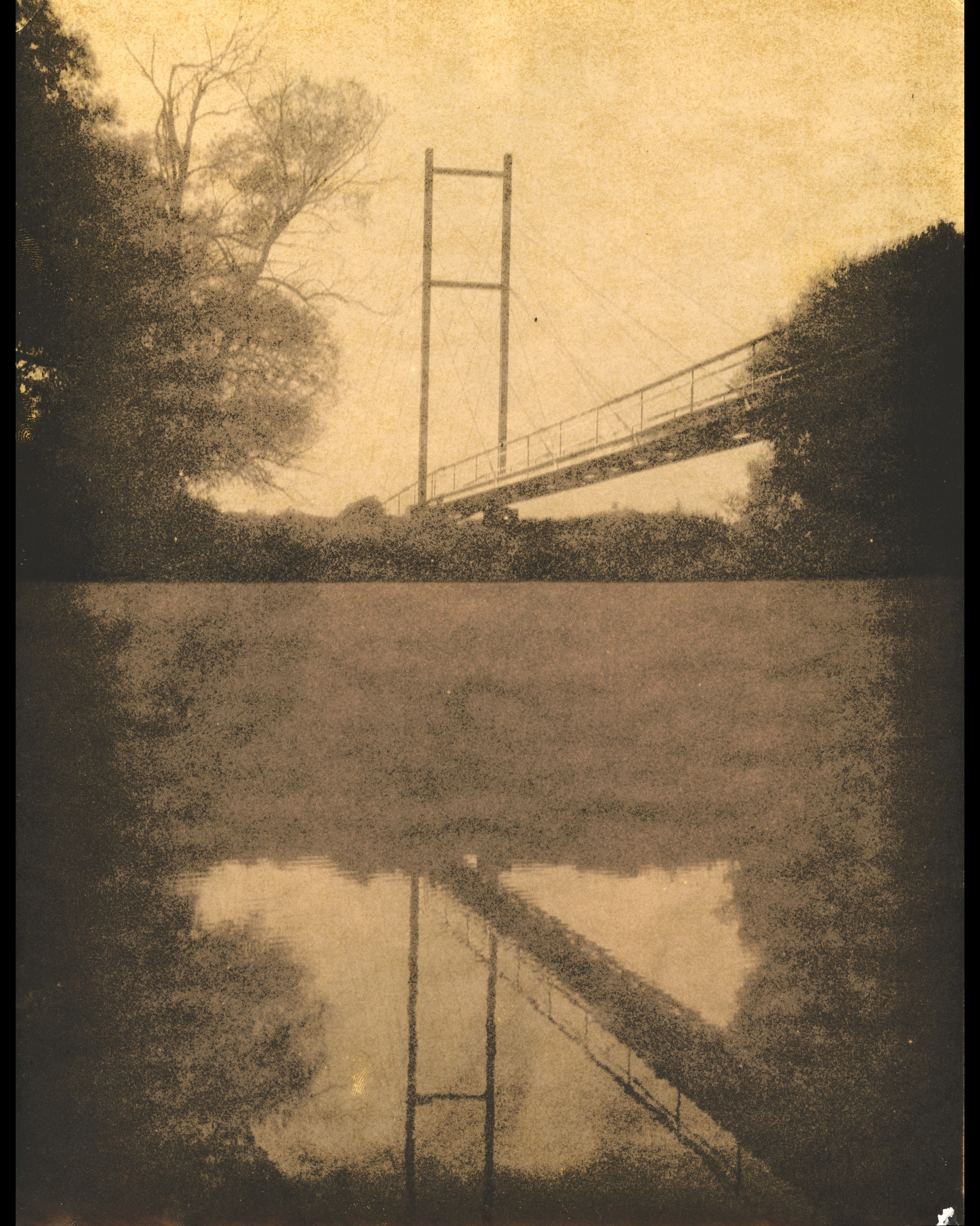 Lith prints. Darkroom aesthetics