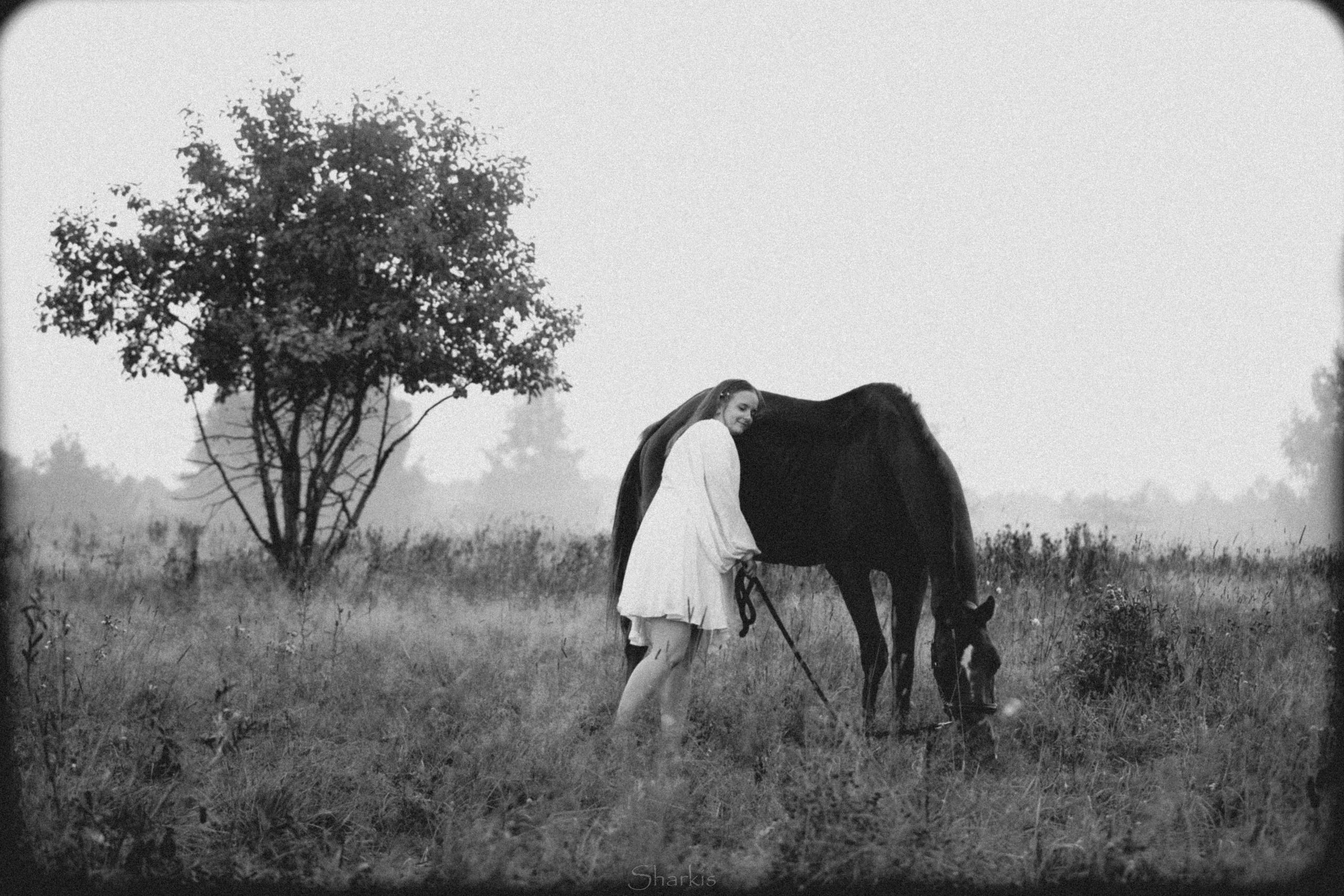 Аня и Гас. Главная