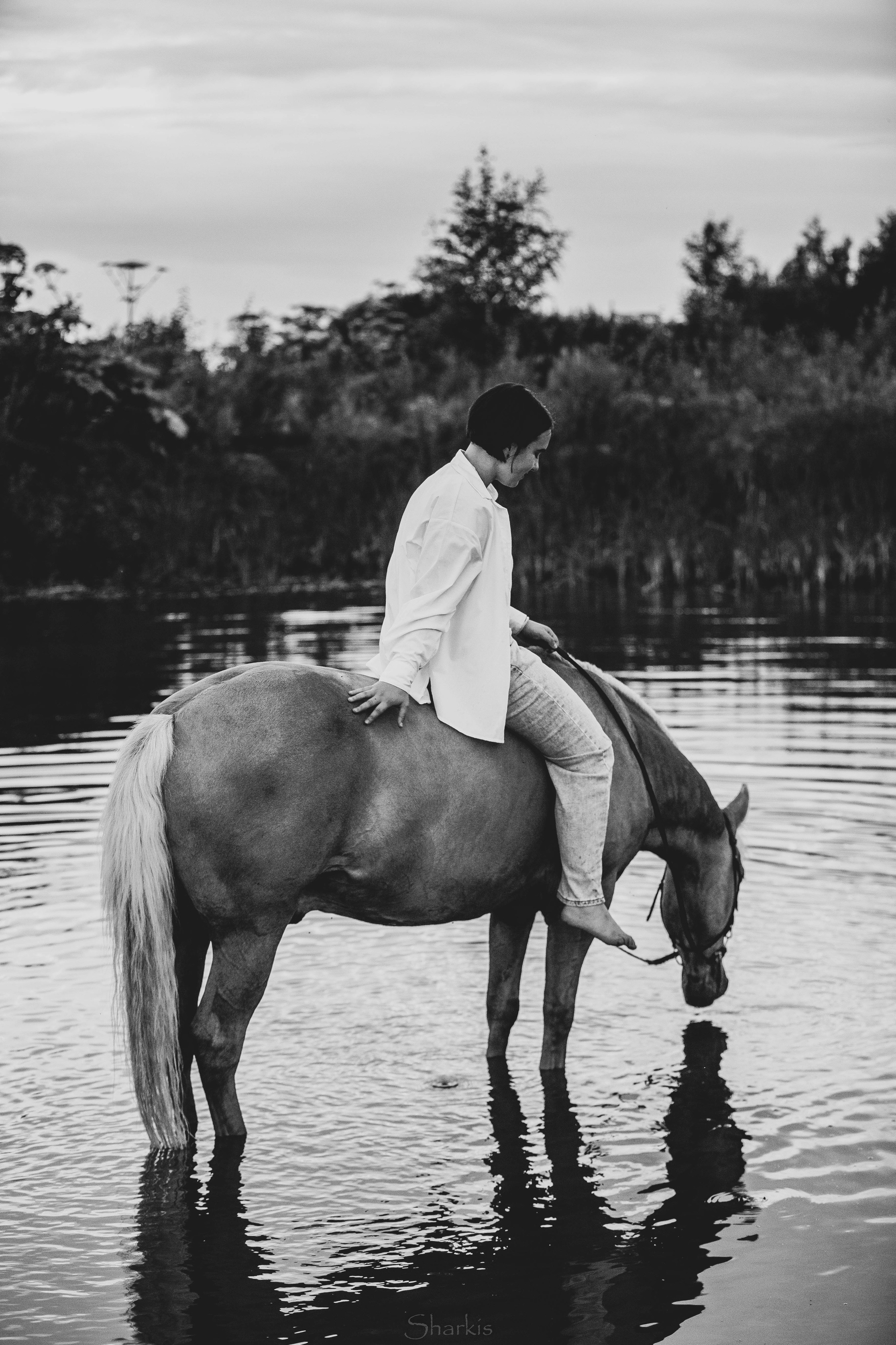 Алина и Гешефт. Главная