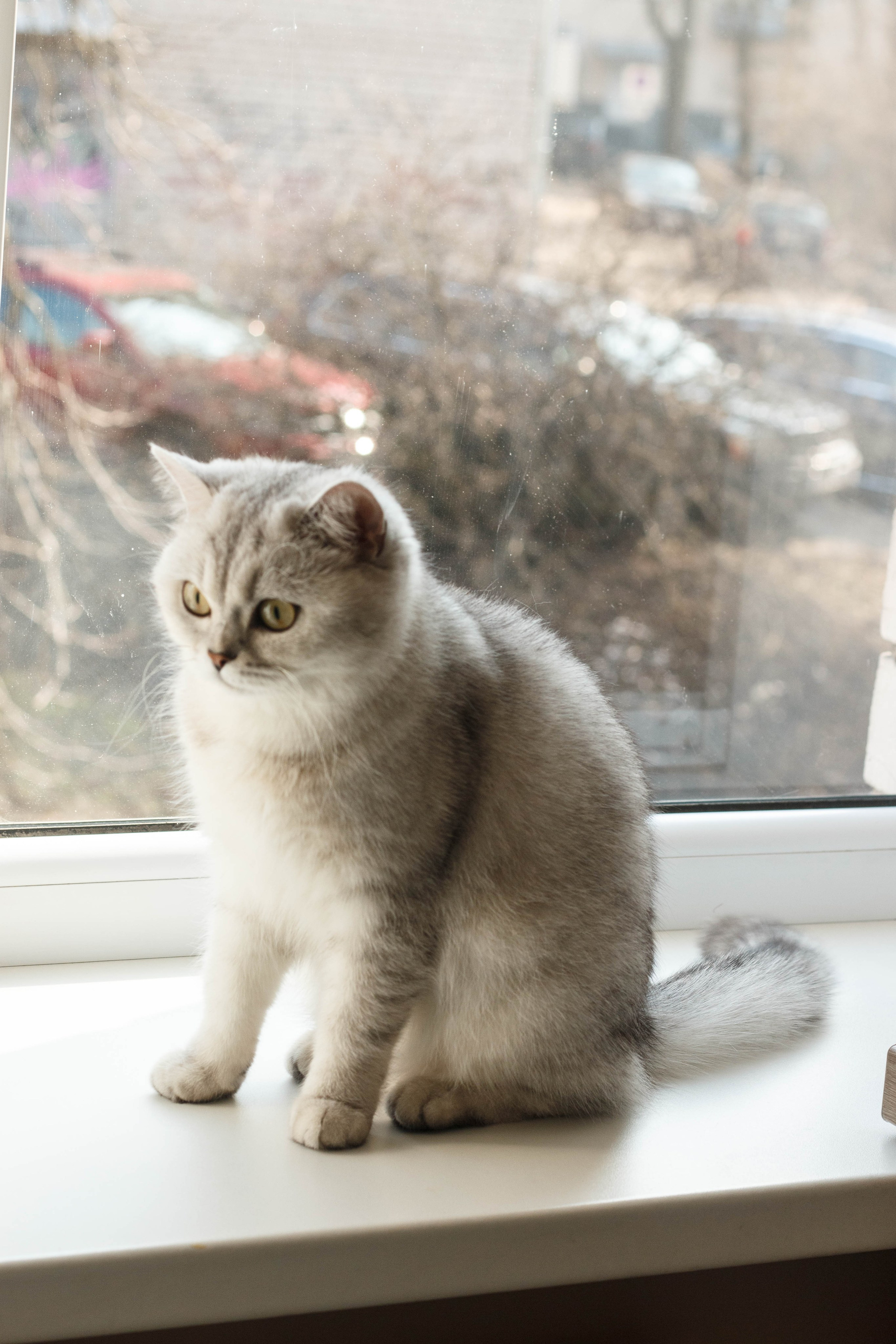 NASTYA & KITTI. Бережно сохраняю ваши чувства и истории на своих фотографиях