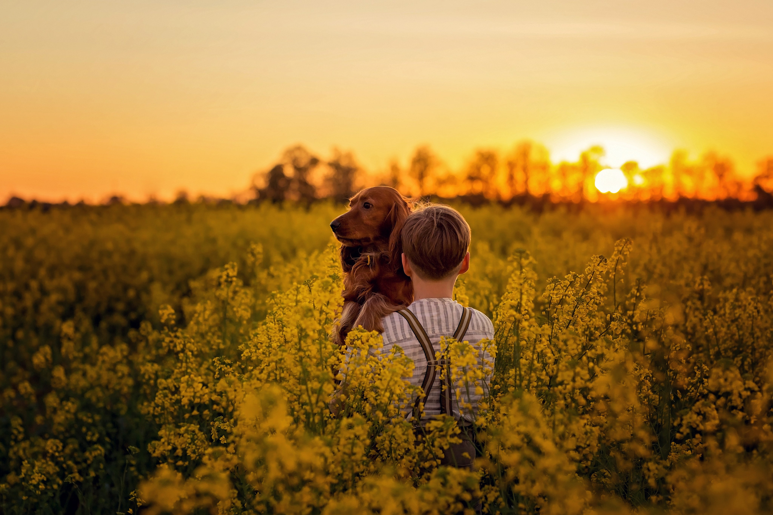 Рапс. Семейный и детский фотограф Екатерина Савёлова