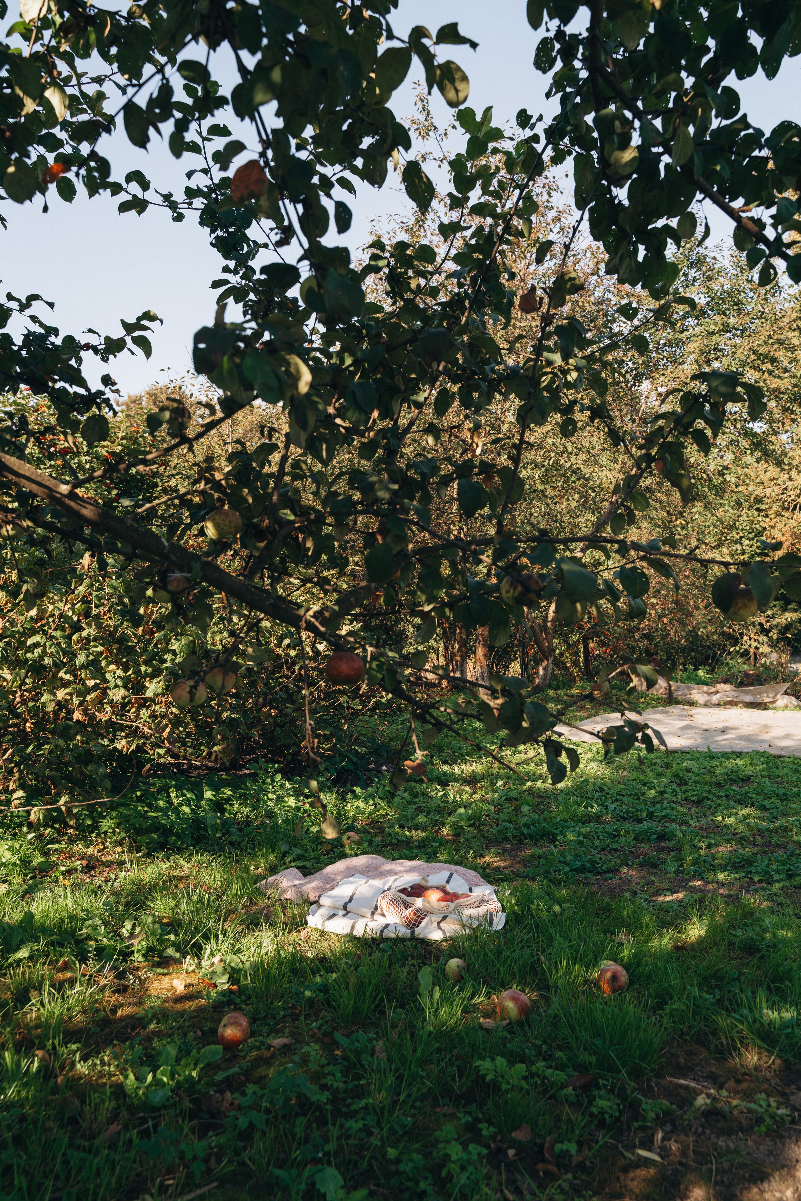 МАЙЯ🤍. FotoTanya. Раменское/Жуковский/Бронницы