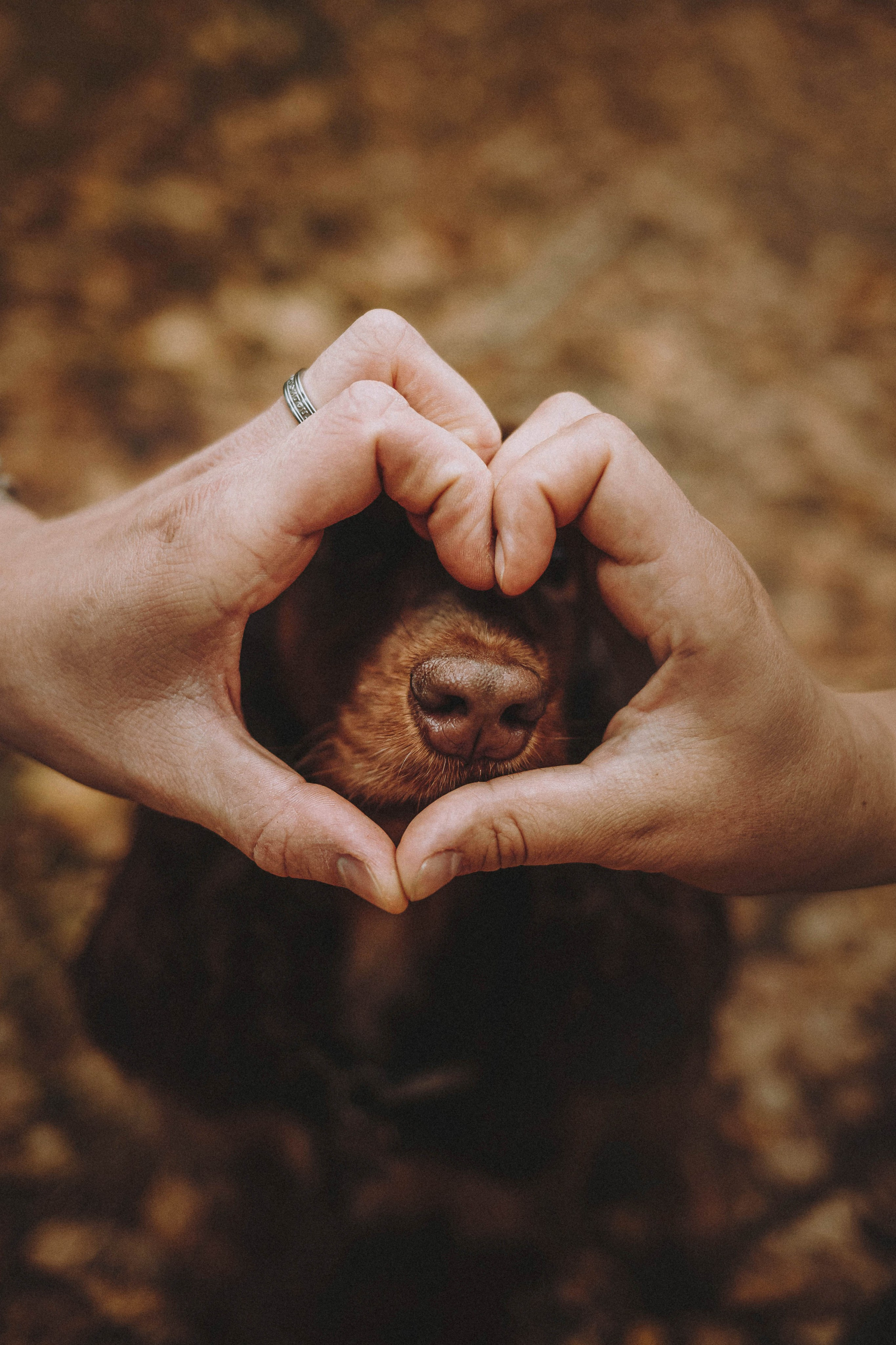 Настя, Саша и Эстер