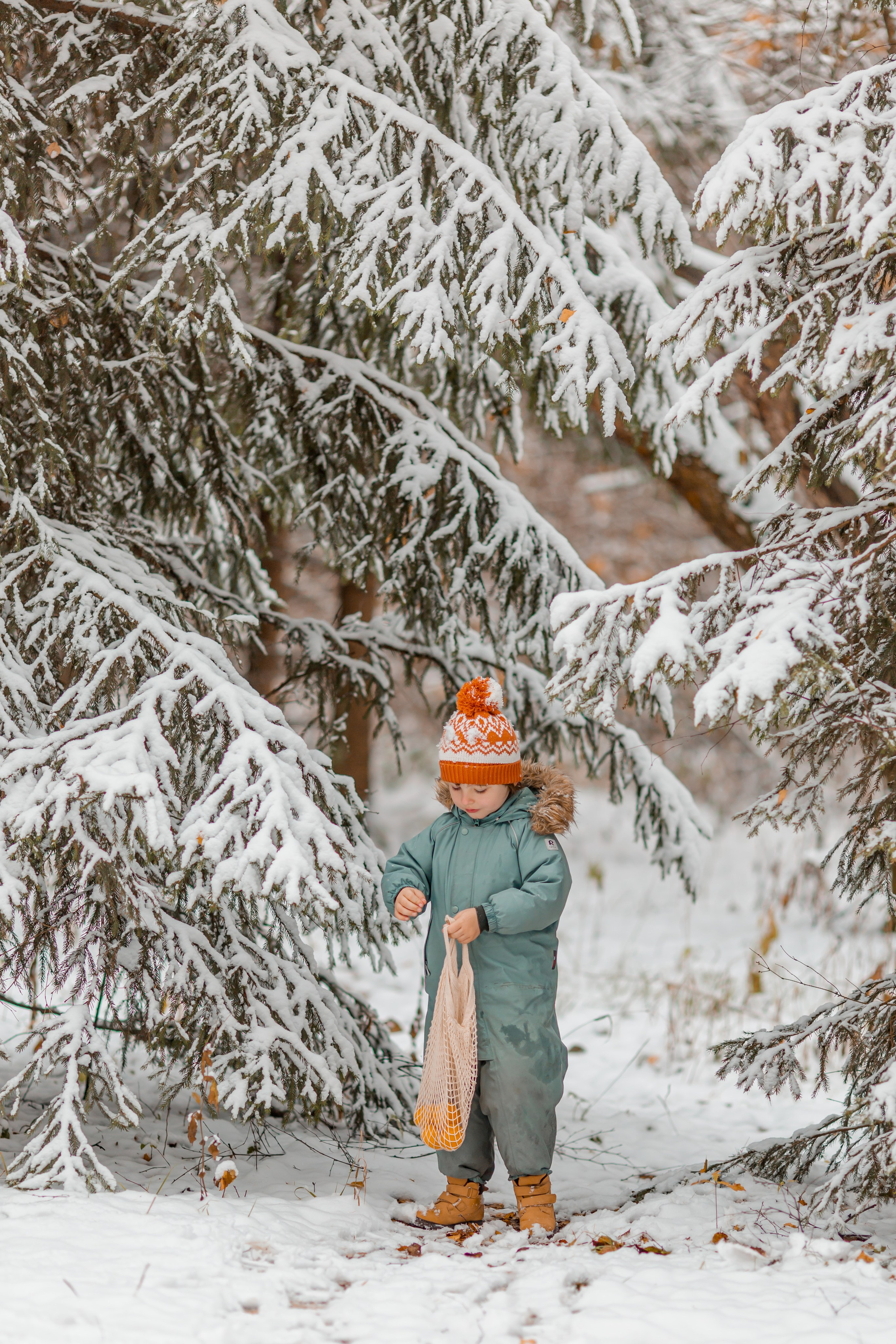 Зимний лес. Семейный и детский фотограф в Москве Алёна Кораблина