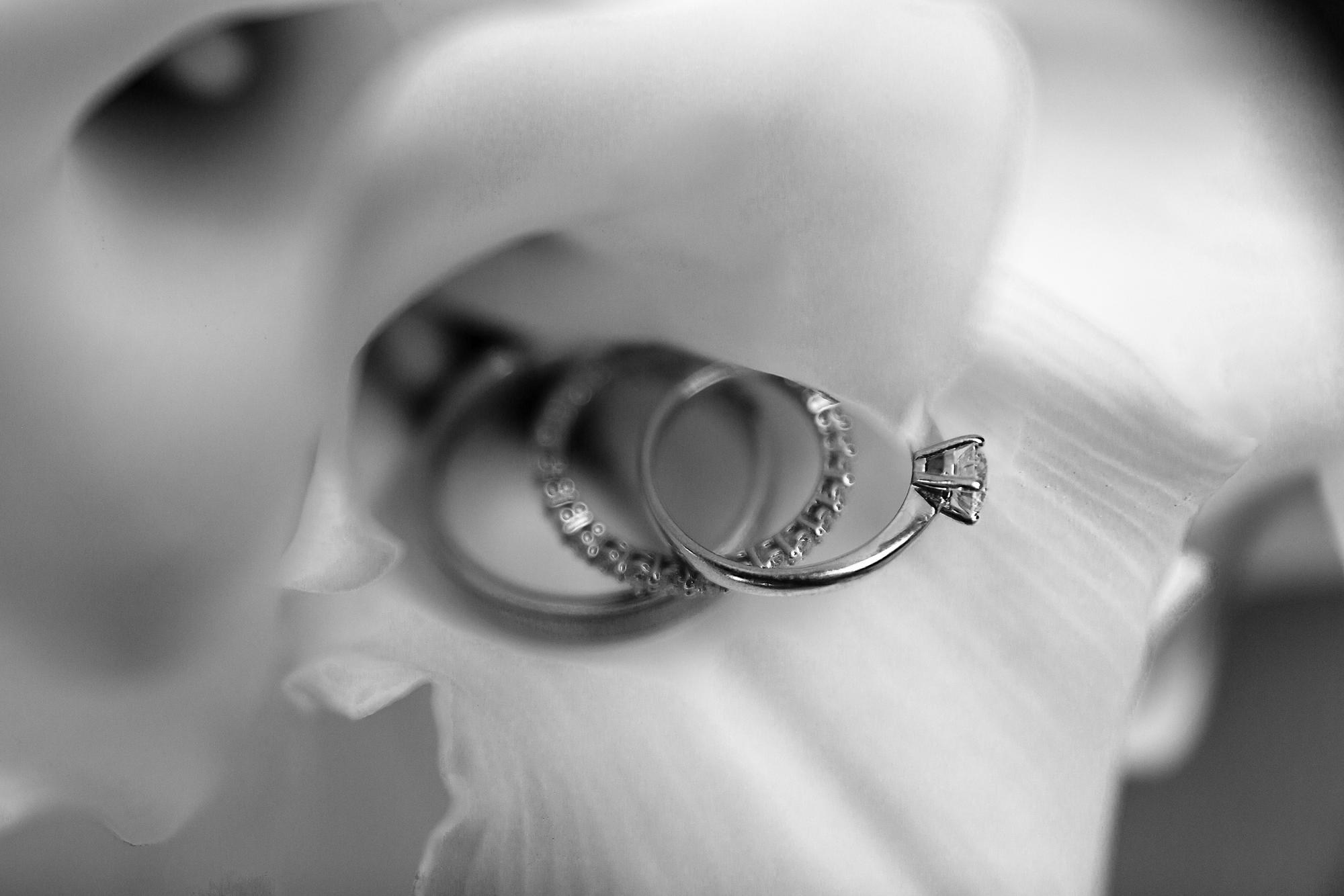 Свадебное портфолио. Свадебный, репортажный фотограф Дмитрий Макарченко