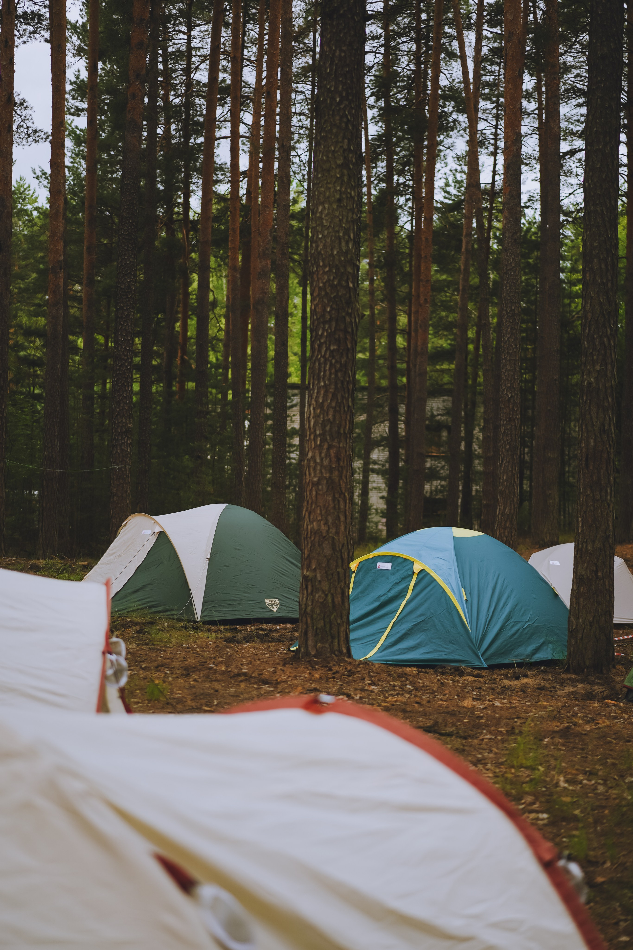 Палаточный форум CAMPot 2025. Фотограф Надежда Погребняк | Рязань | Москва