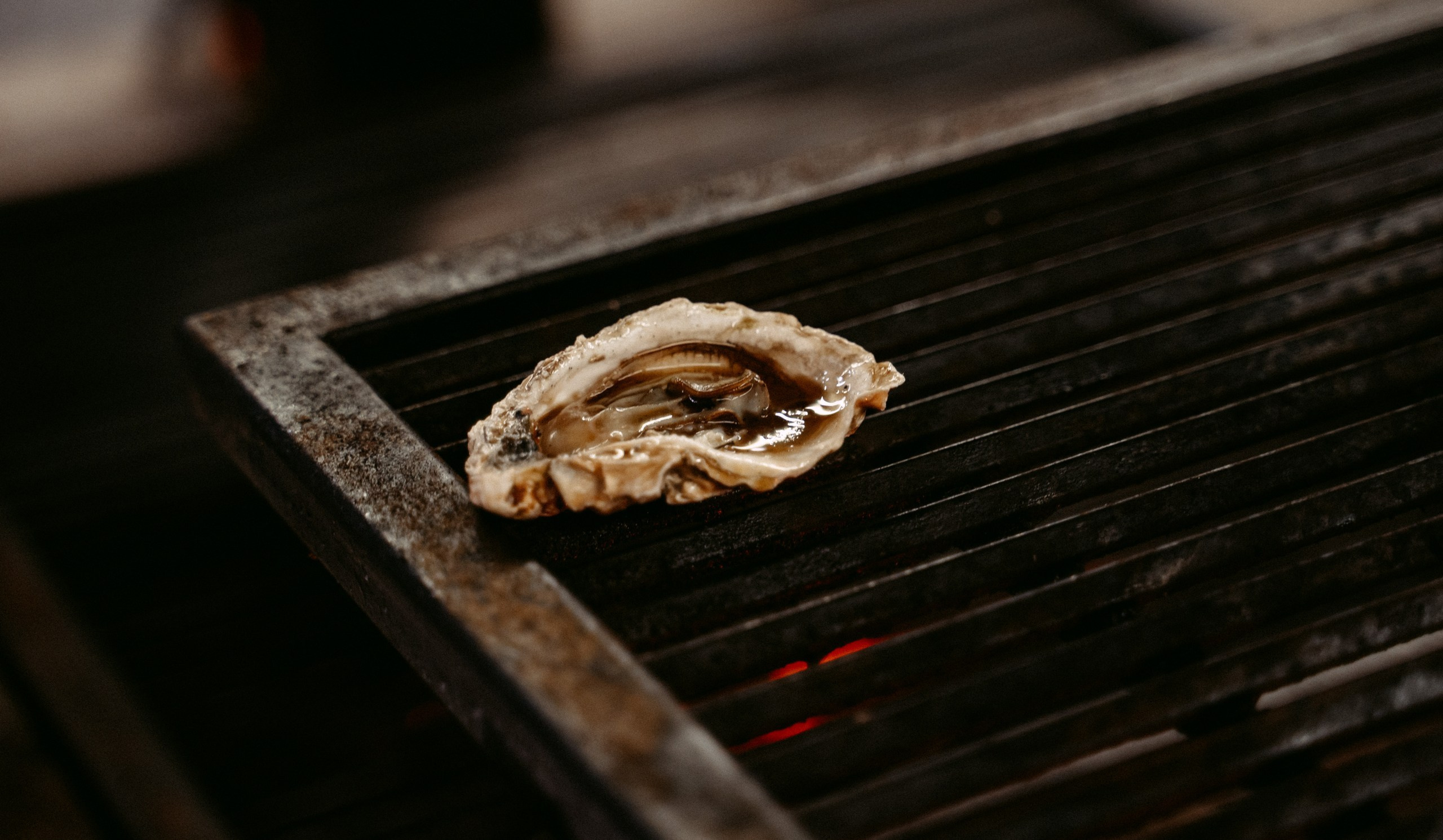 Сказки о Солнце x Enter. Саша Копылов, фотограф в Казани