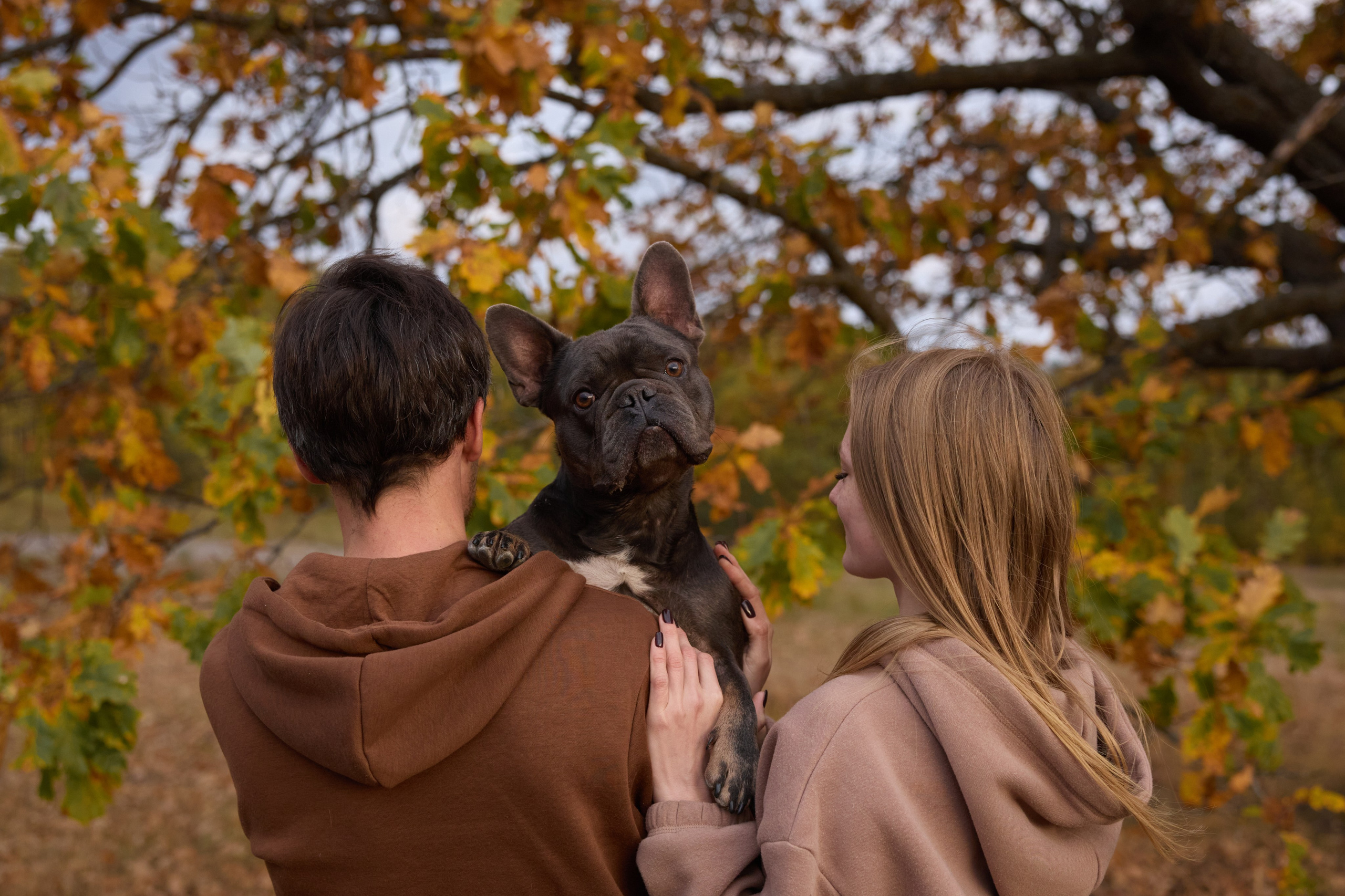 Семейная история. Фотограф анималист в Казани Алина Сулейманова. Фотограф животных