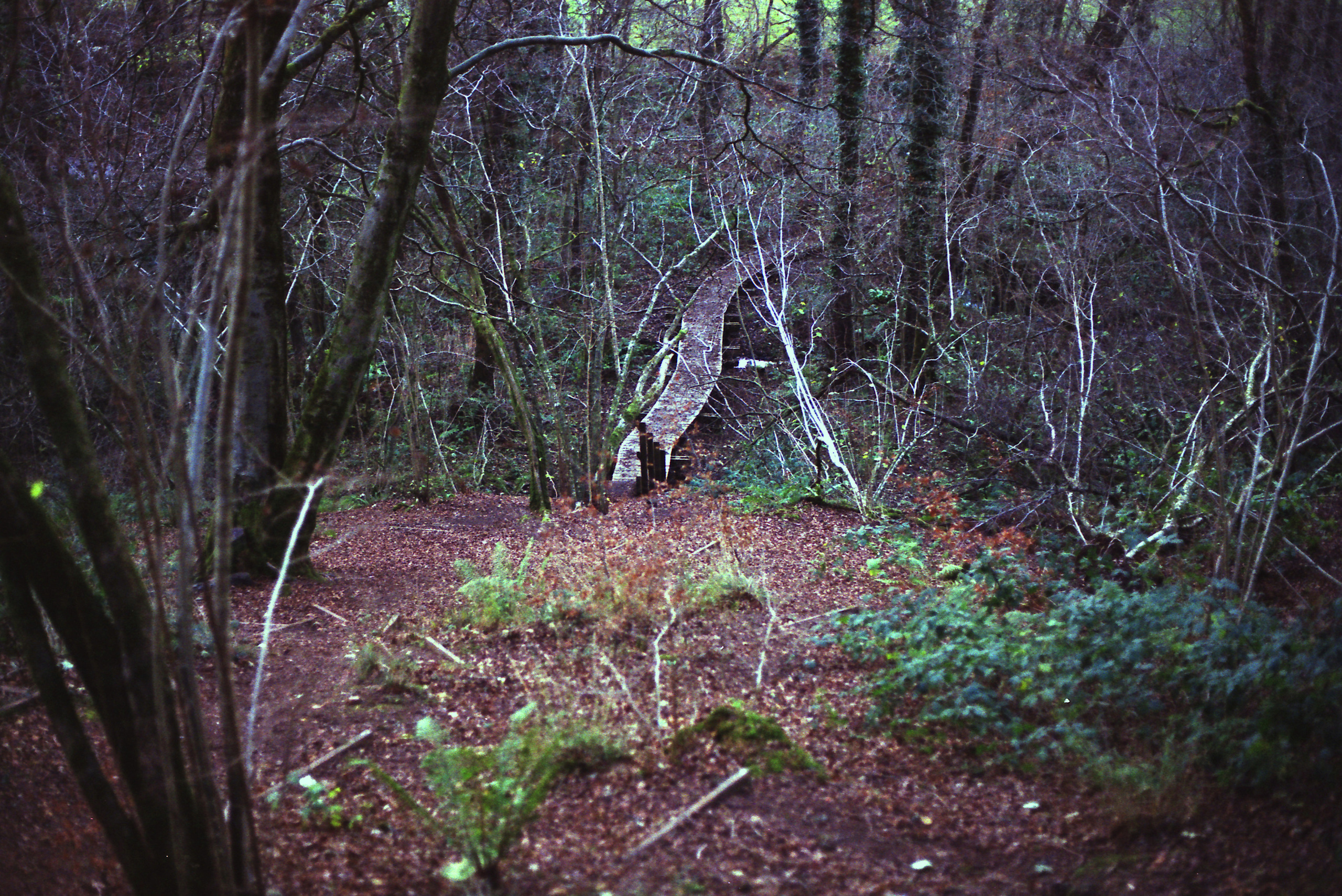 Потерпевшие кораблекрушение. Екатерина Васильева художник, куратор и преподаватель