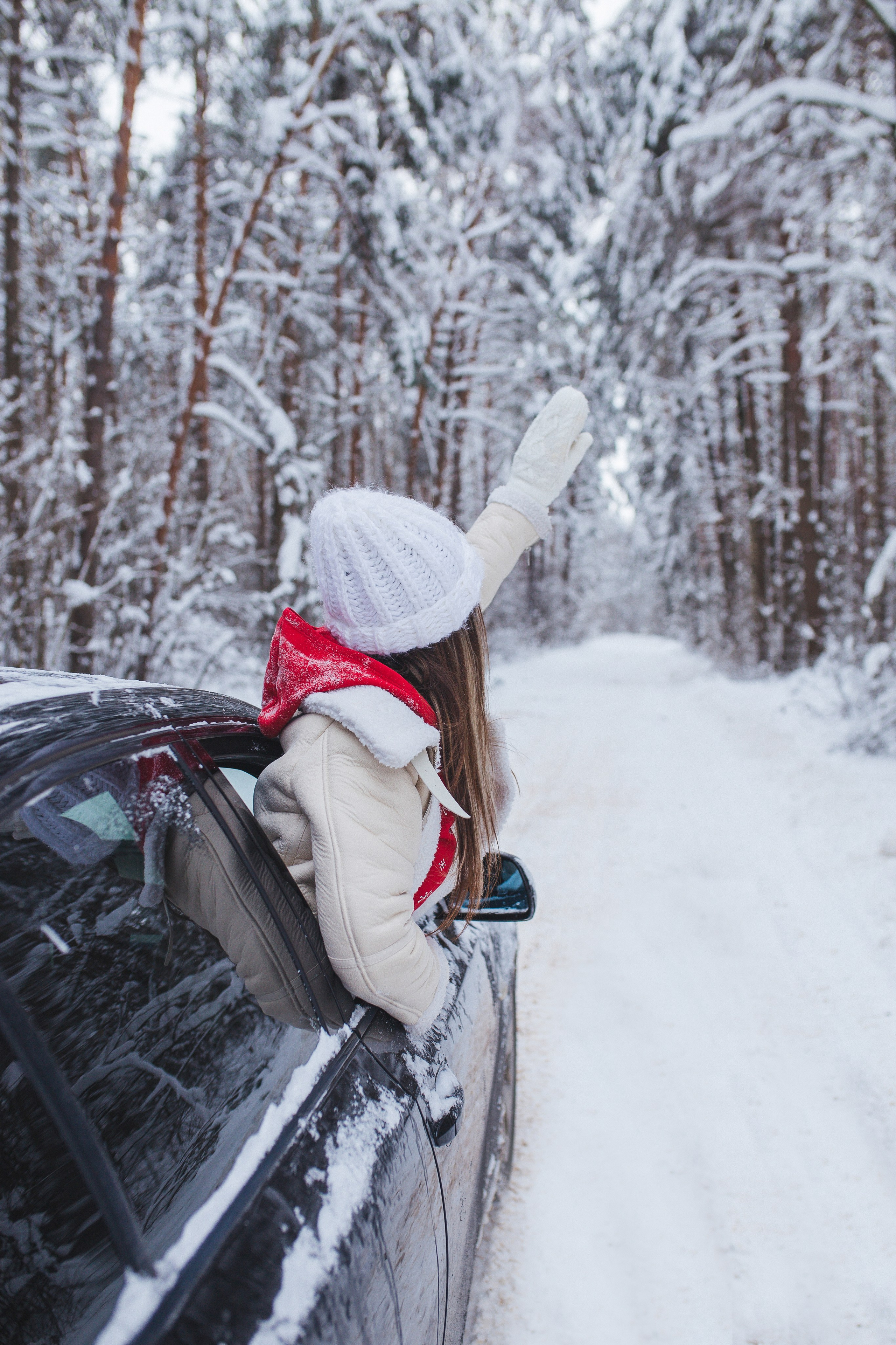 Новогодняя прогулка