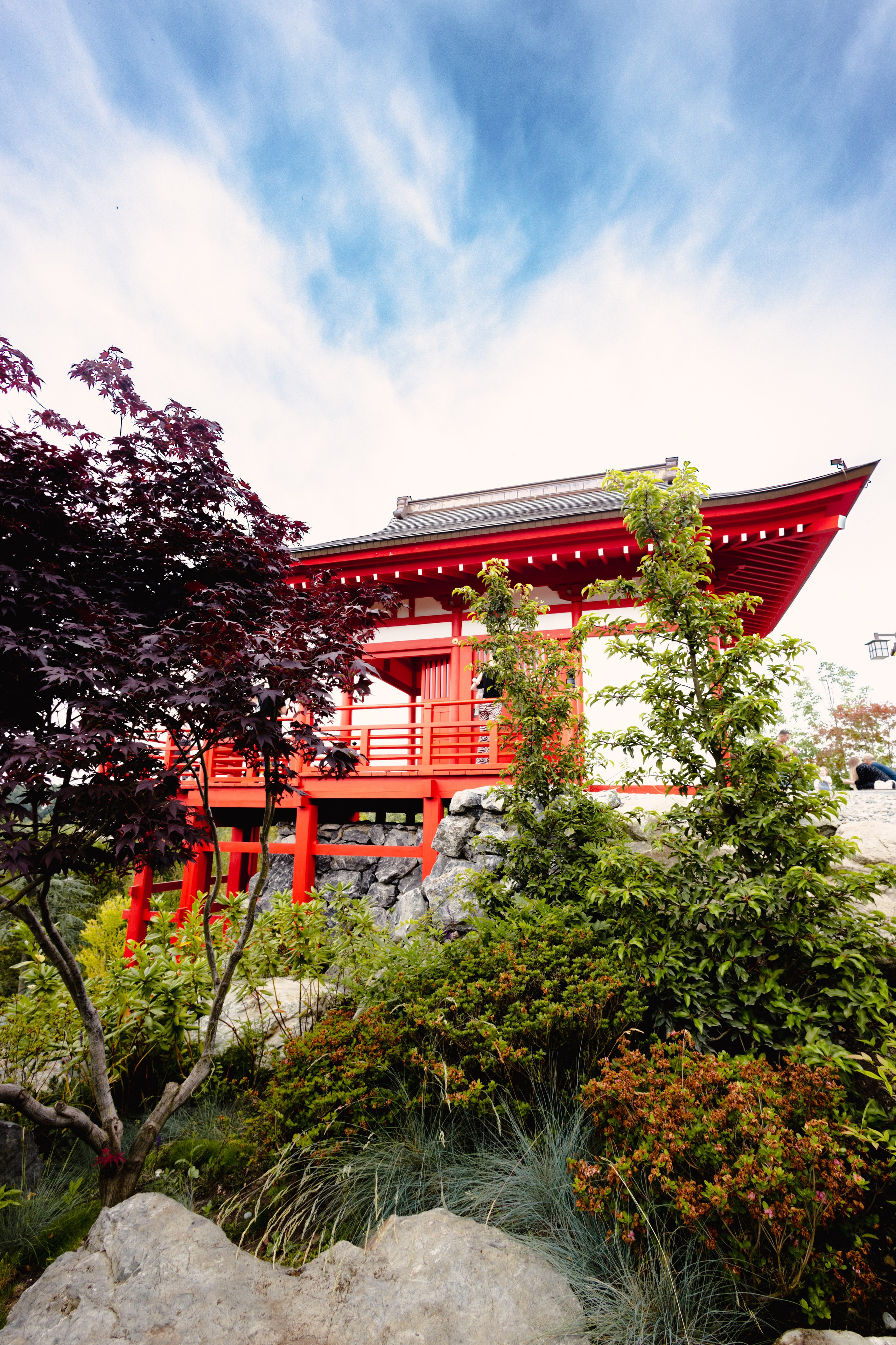 Японский сад в Краснодаре. Профессиональный фотограф и видеооператор