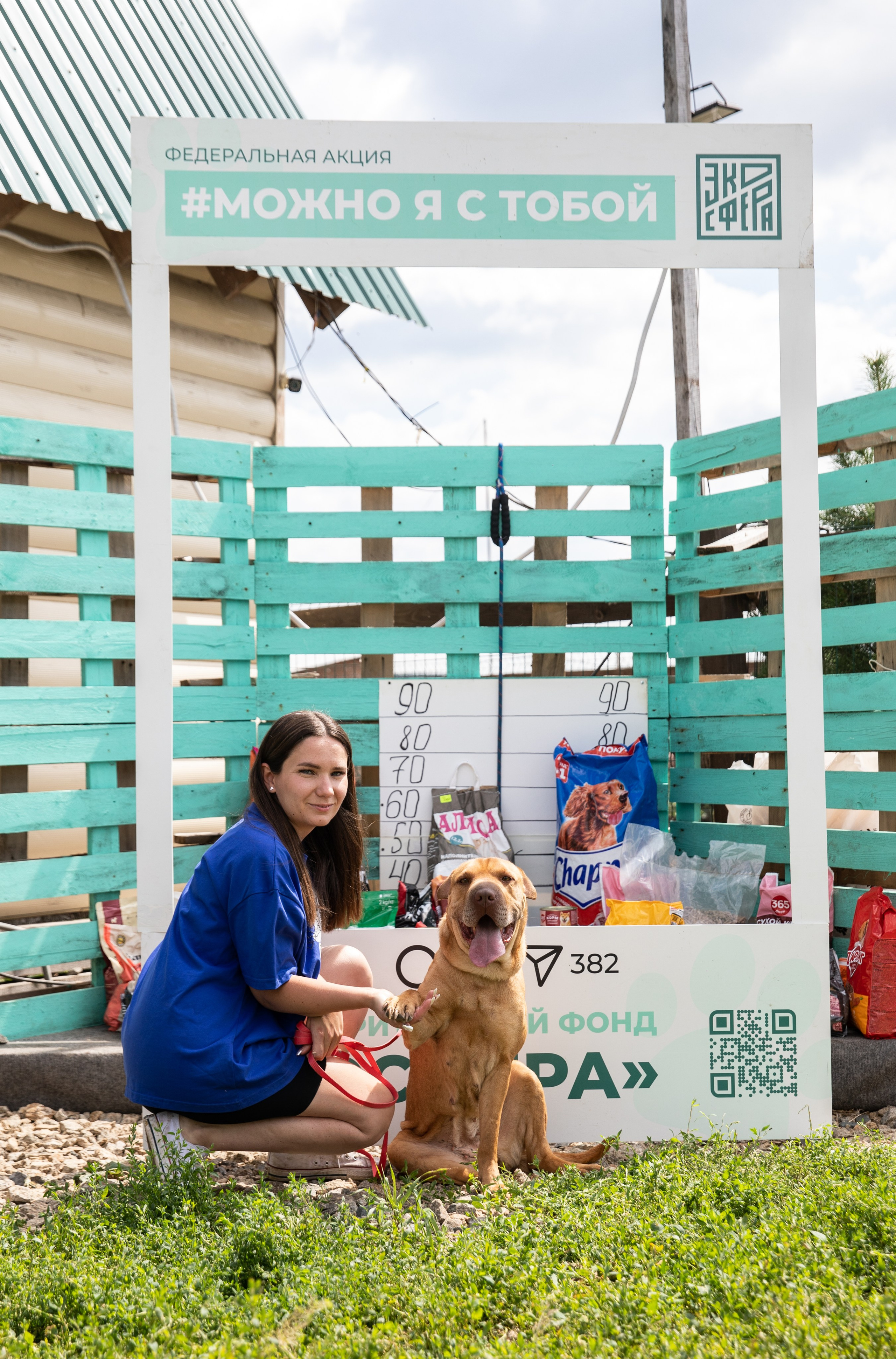 Приют — Наш дом. Репортажный и свадебный фотограф в Челябинске Елисеев Павел