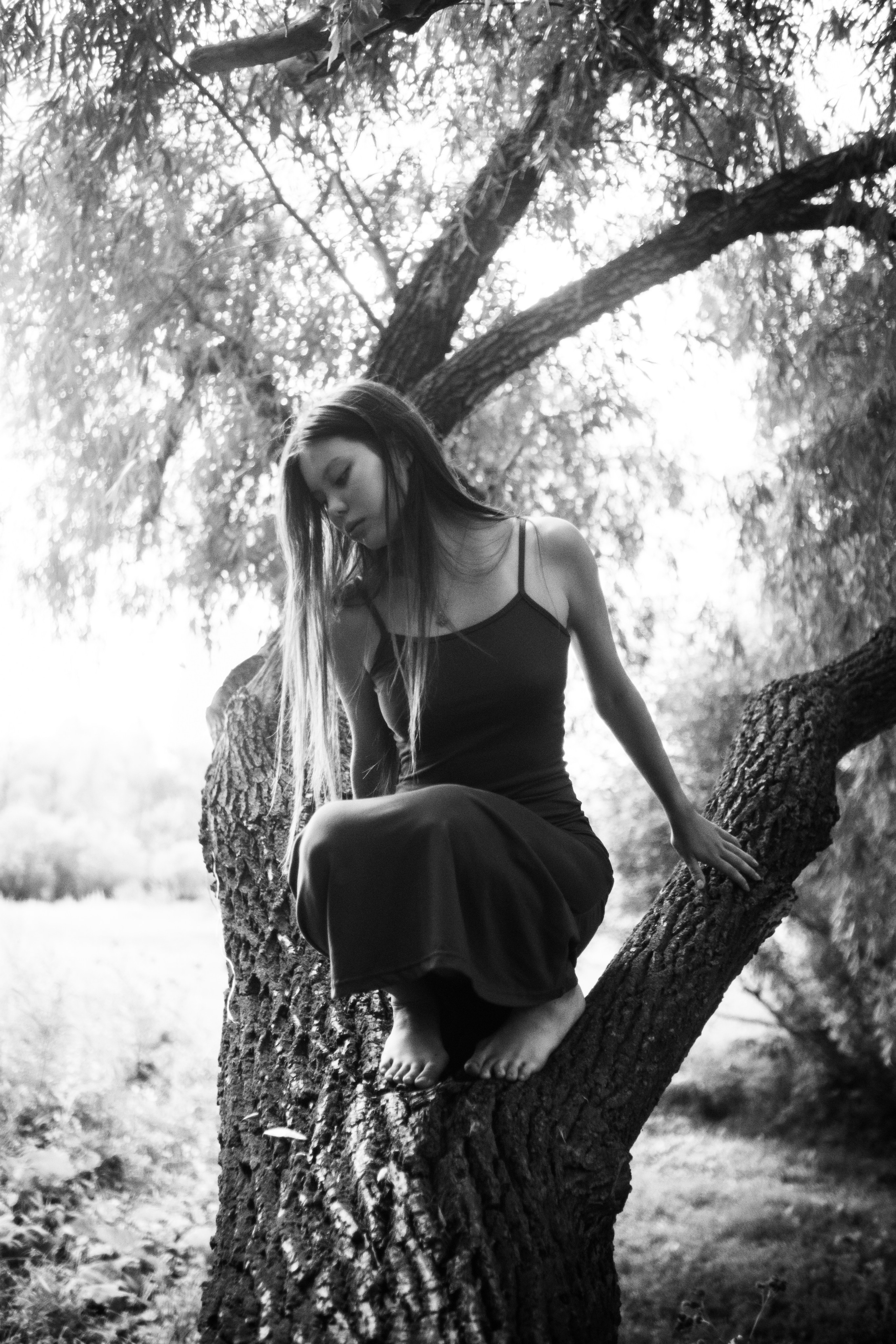 Дарна на дереве. Фотограф Коробова Екатерина