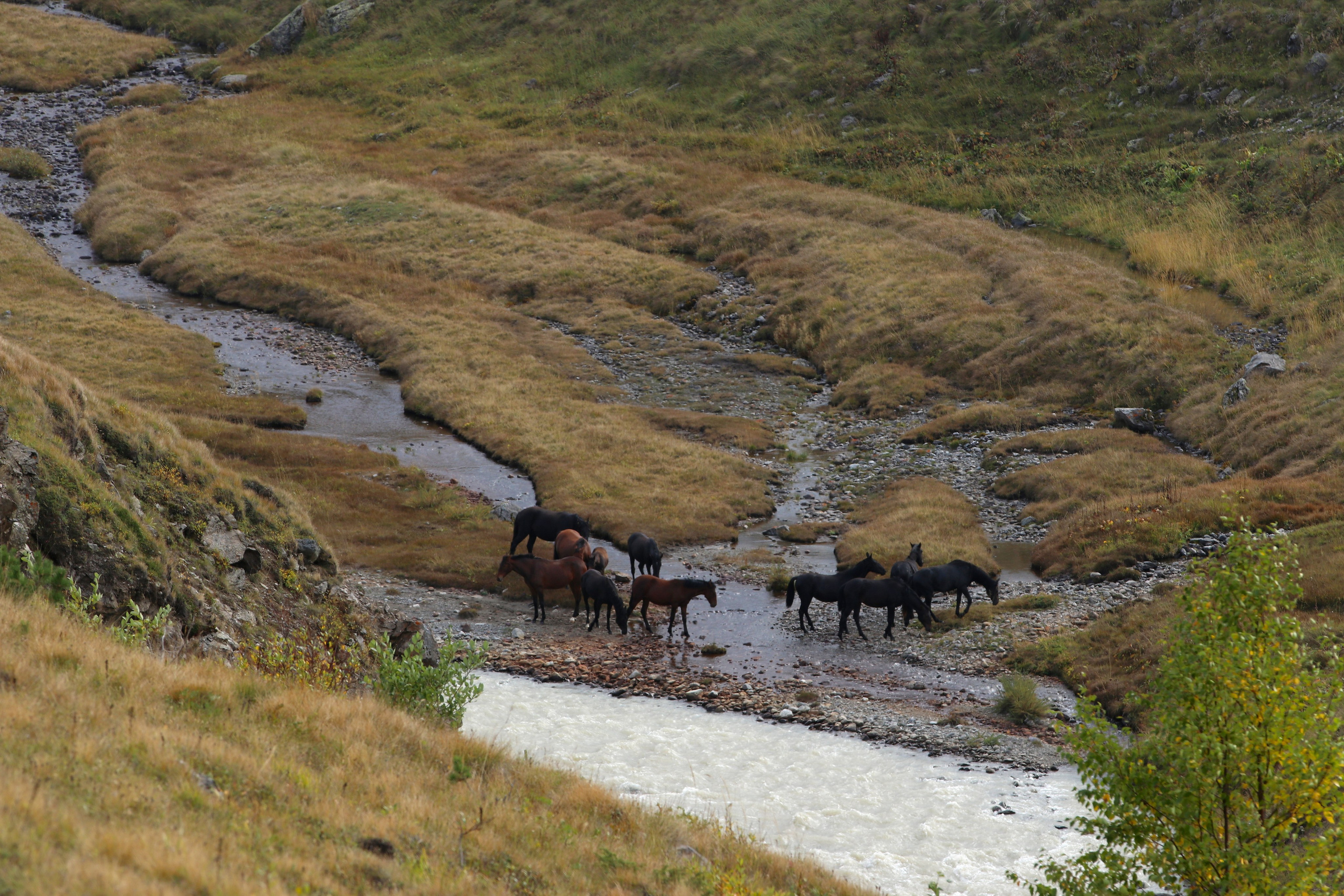 Приэльбрусье. Сентябрь 2024. Путешественник-фотограф из Санкт-Петербурга Татьяна Свистулина