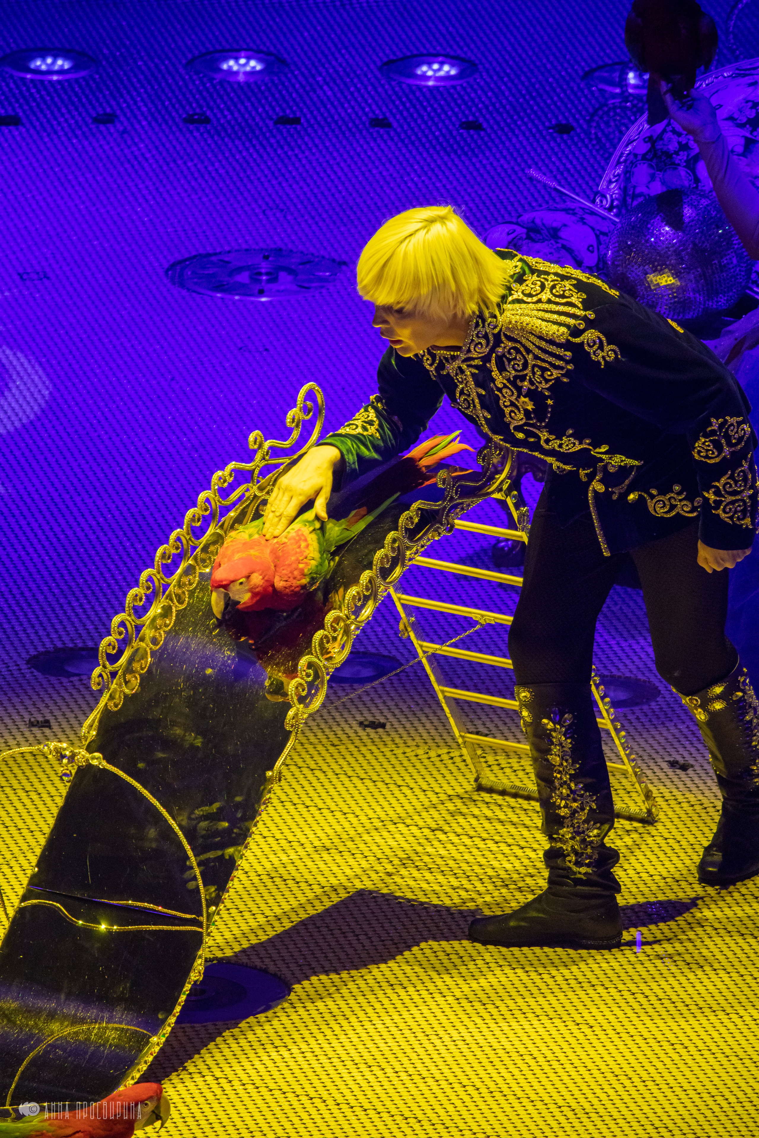 Шоу «Принц Цирка». Ваш фотограф в Санкт-Петербурге Анна Просвирина