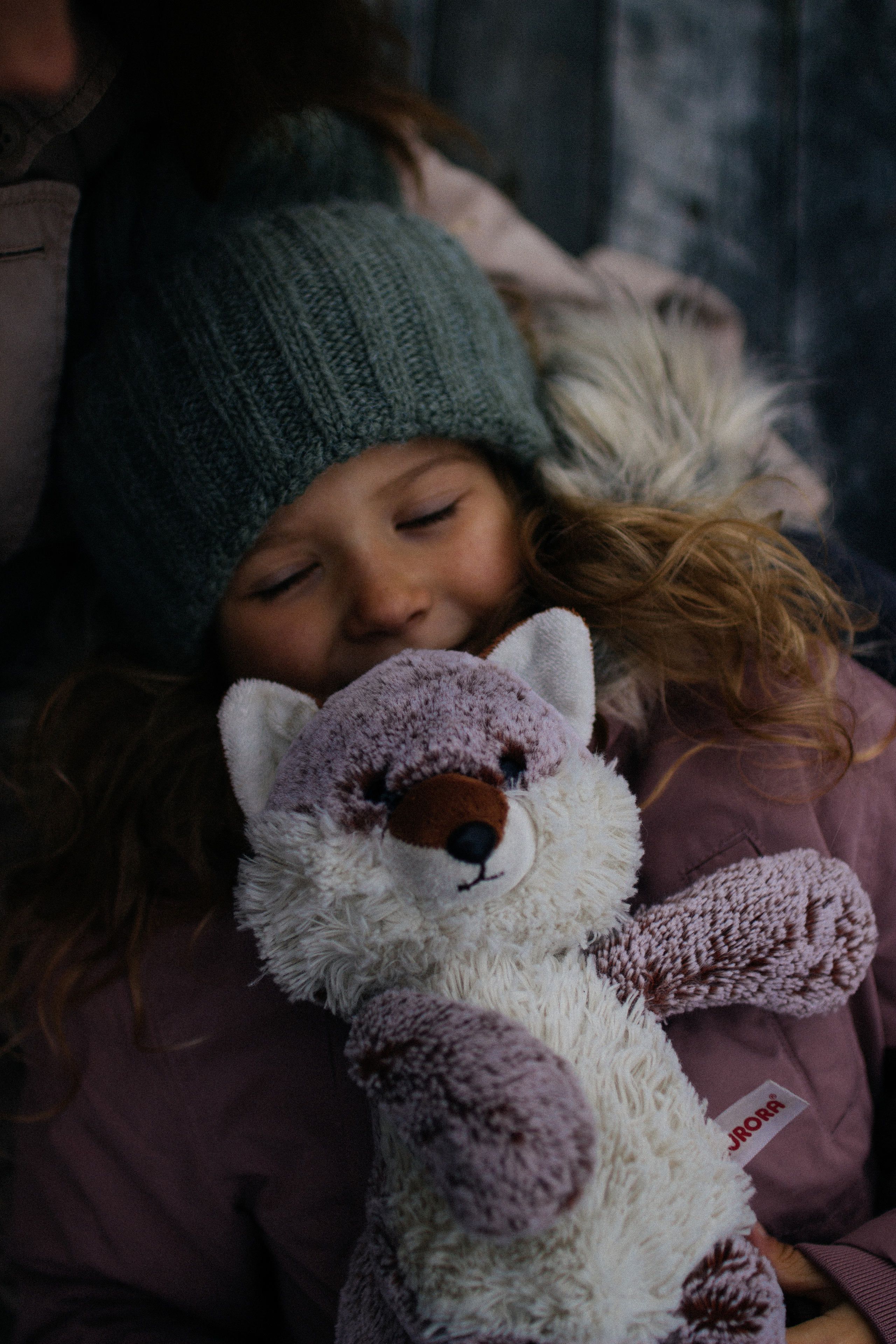 Один день осени. Фотограф Петрозаводск