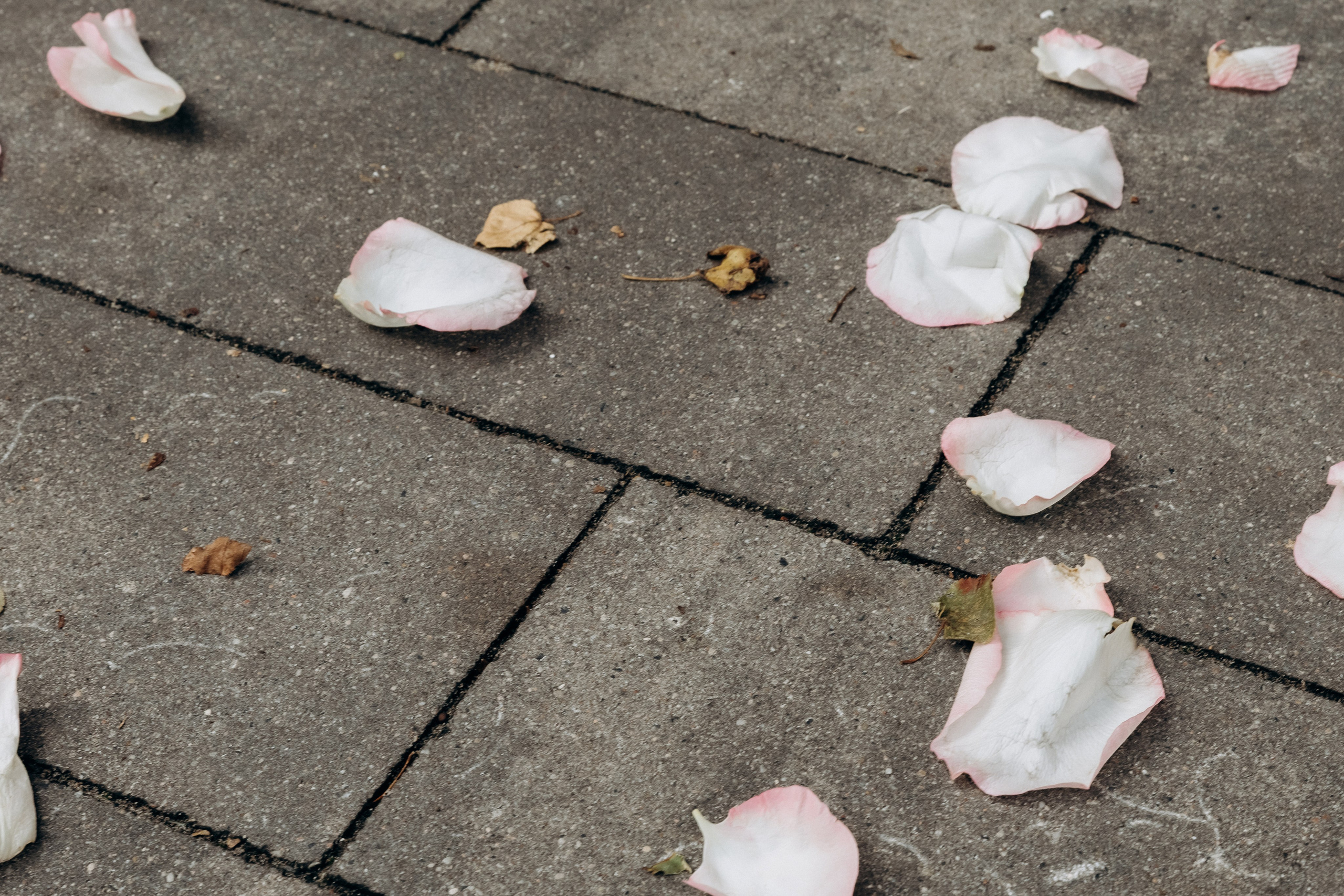 Василий и Мария. Свадебный фотограф в Калининграде Филоненко Наталья