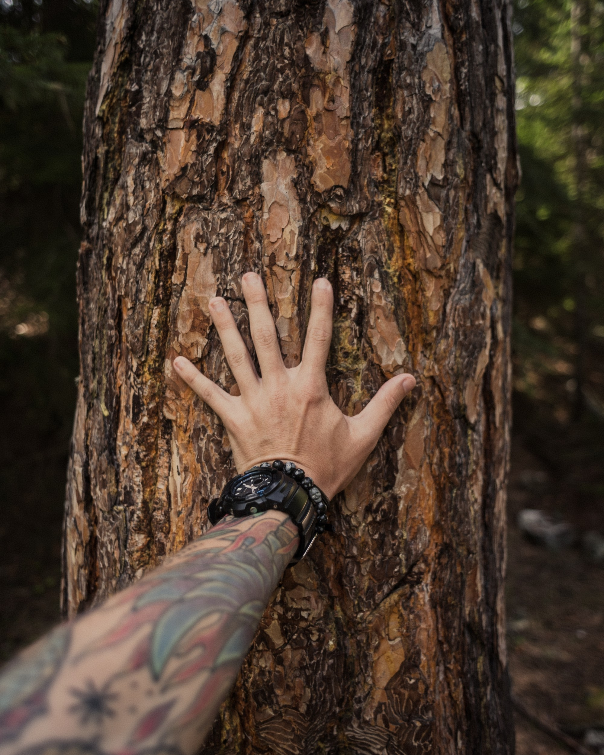 Georgia. Photographer in Tokyo Anatolii Ozarto