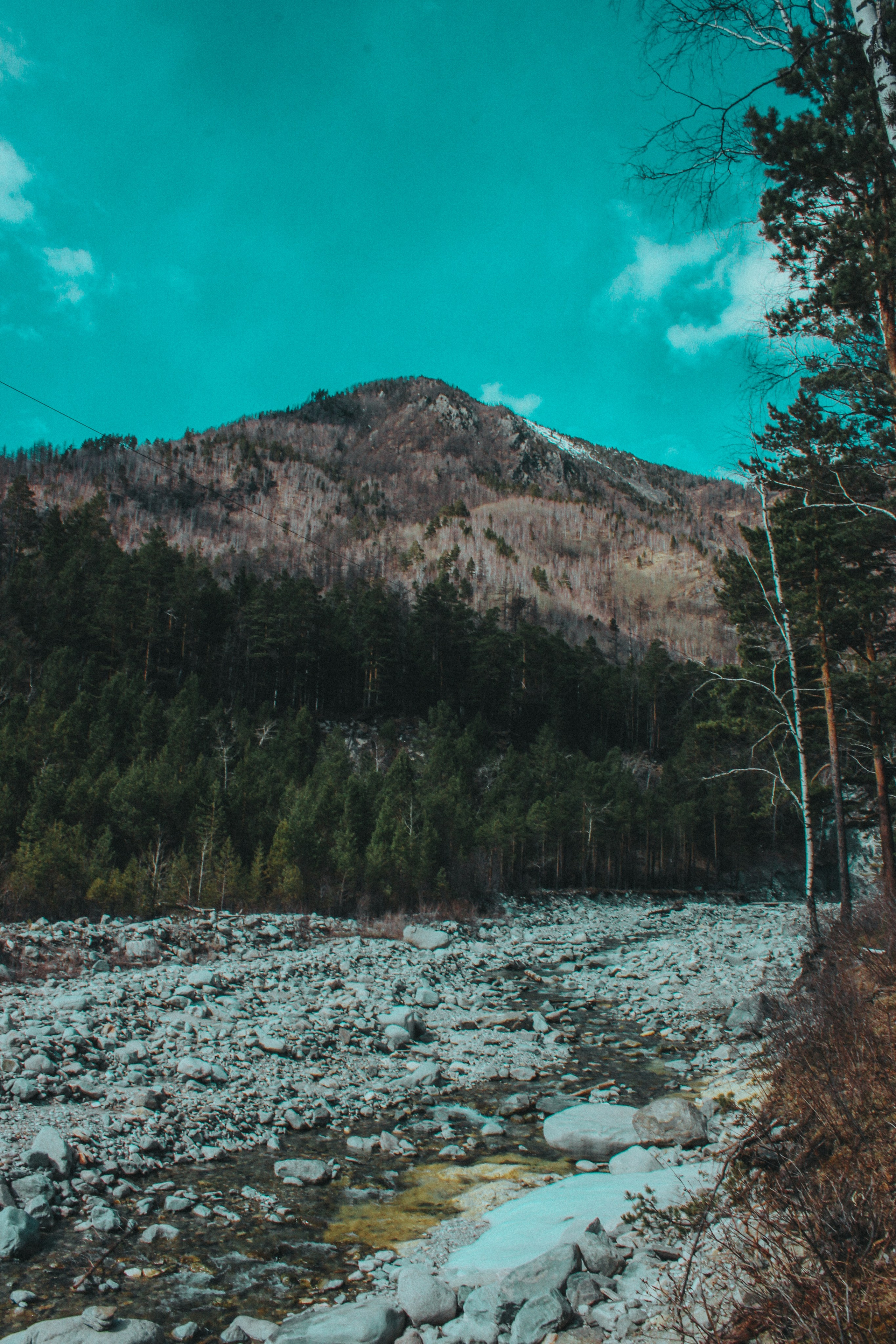 ARSHAN | SAYANY. Главная