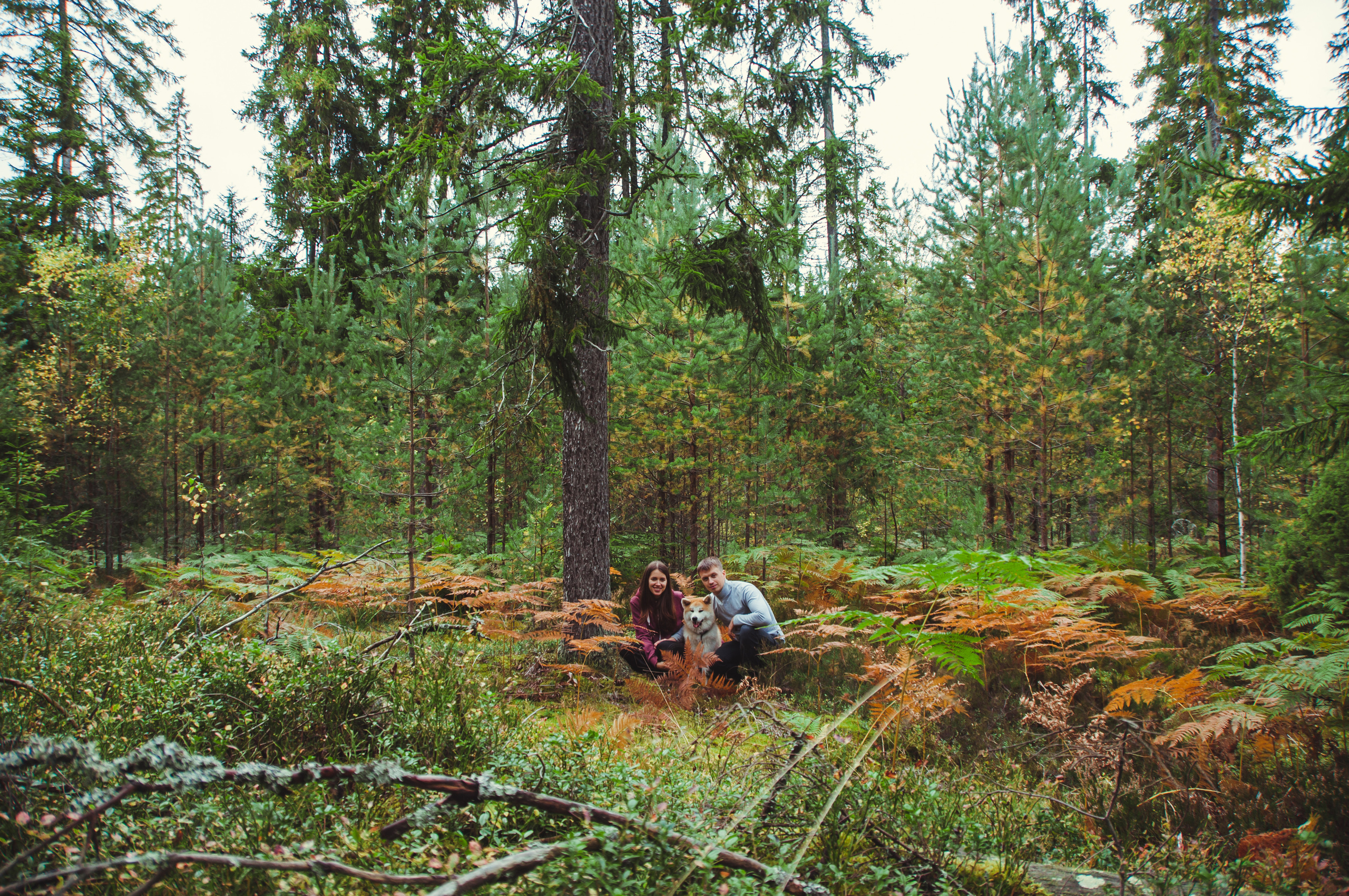 НАМИ. Семейный фотограф в Санкт-Петербурге Льдокова Екатерина