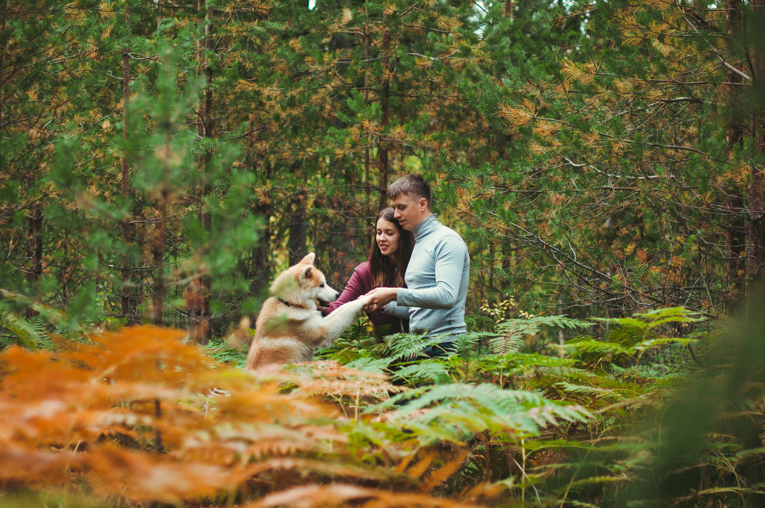 НАМИ. Семейный фотограф в Санкт-Петербурге Льдокова Екатерина