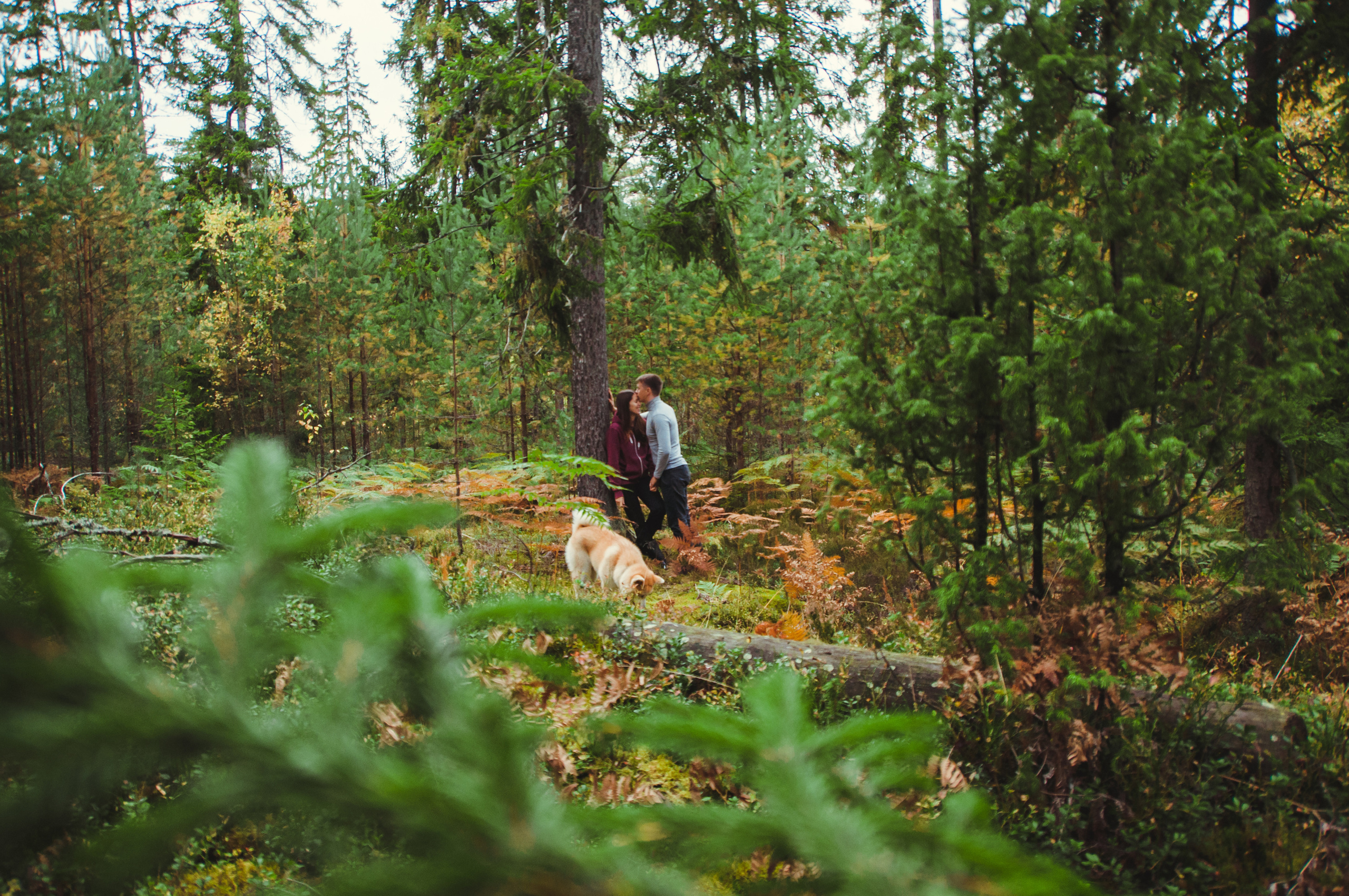 НАМИ. Семейный фотограф в Санкт-Петербурге Льдокова Екатерина