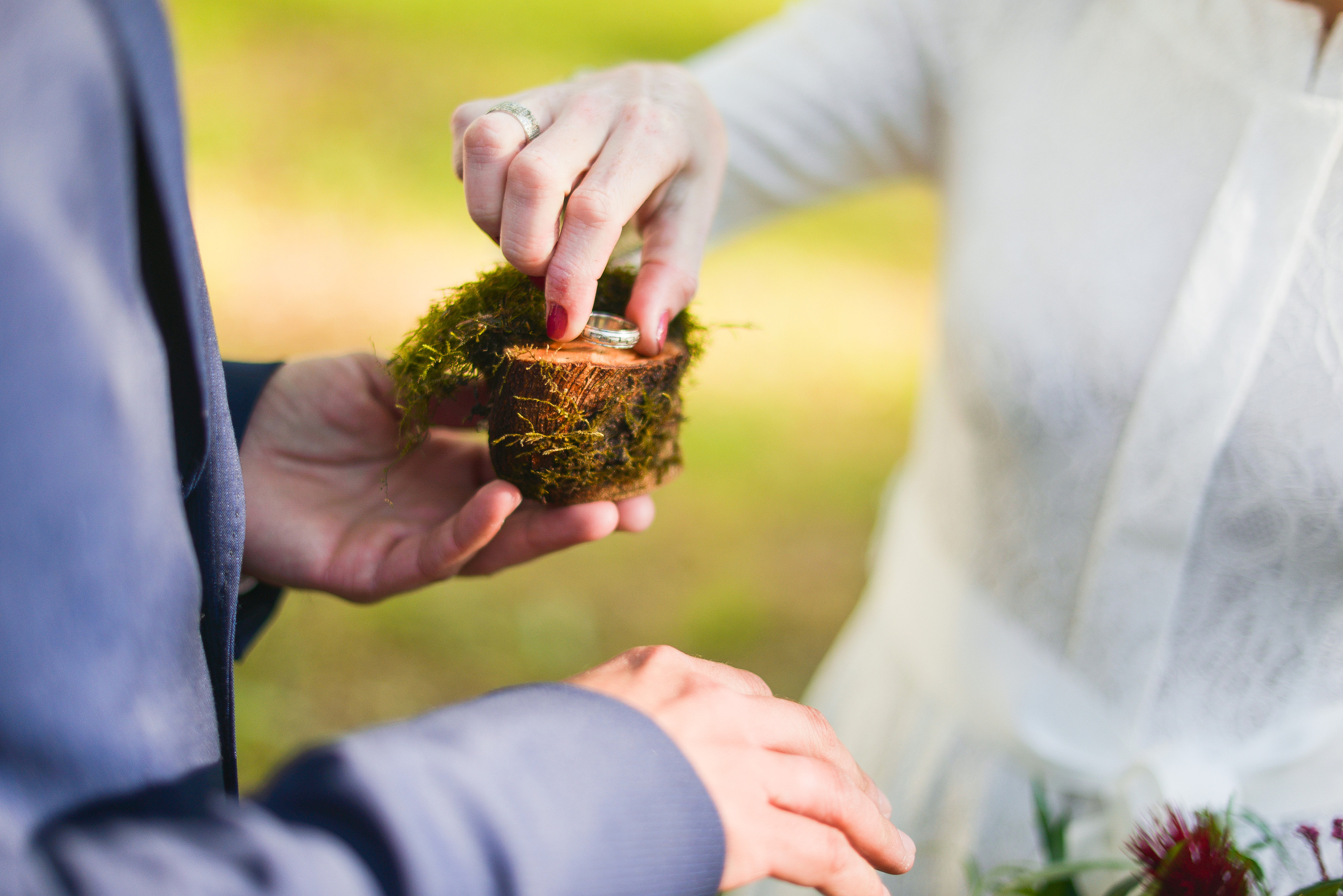 Сергей и Елена. Семейный фотограф в Санкт-Петербурге Льдокова Екатерина