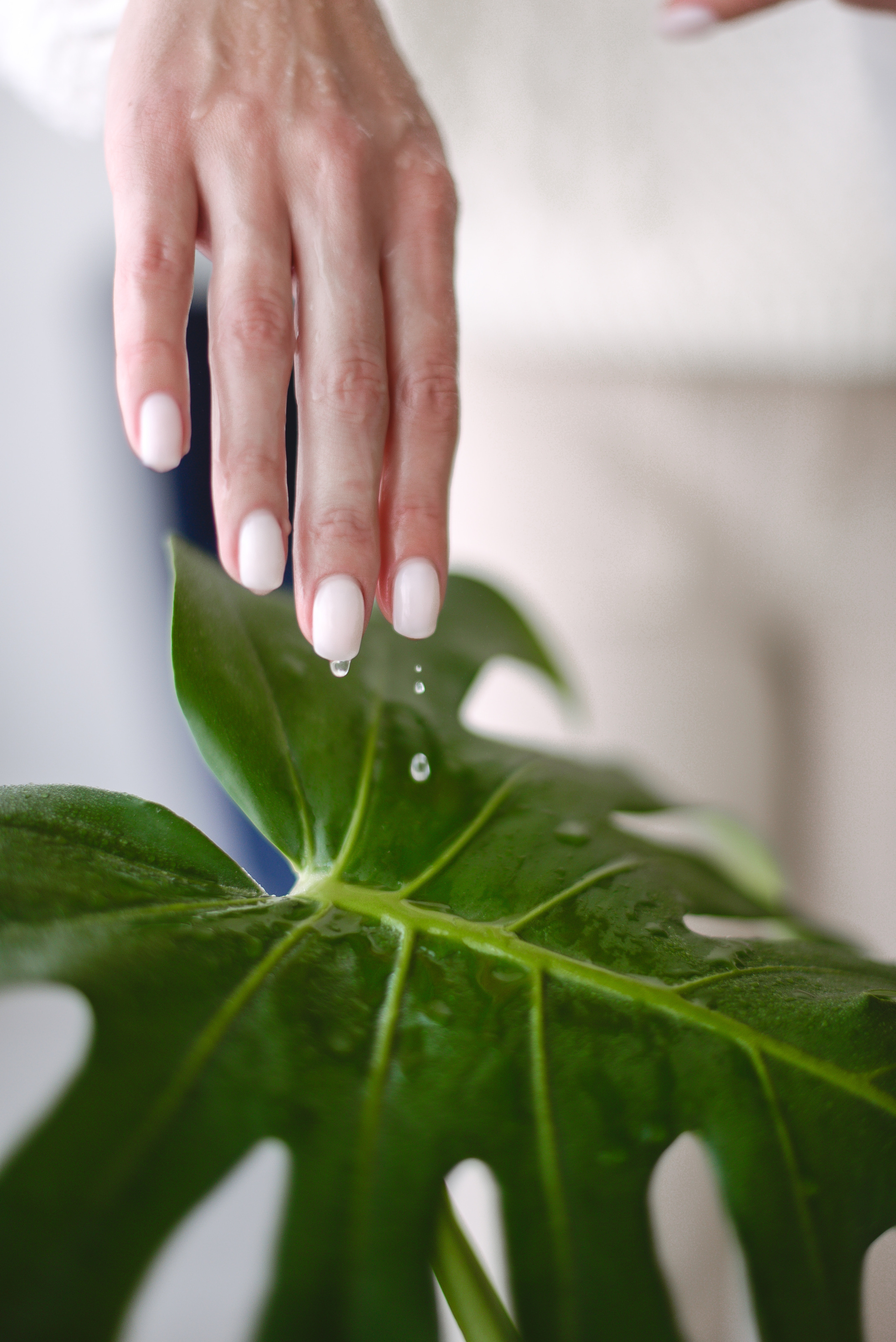 Косметолог Блог. Семейный фотограф в Санкт-Петербурге Льдокова Екатерина