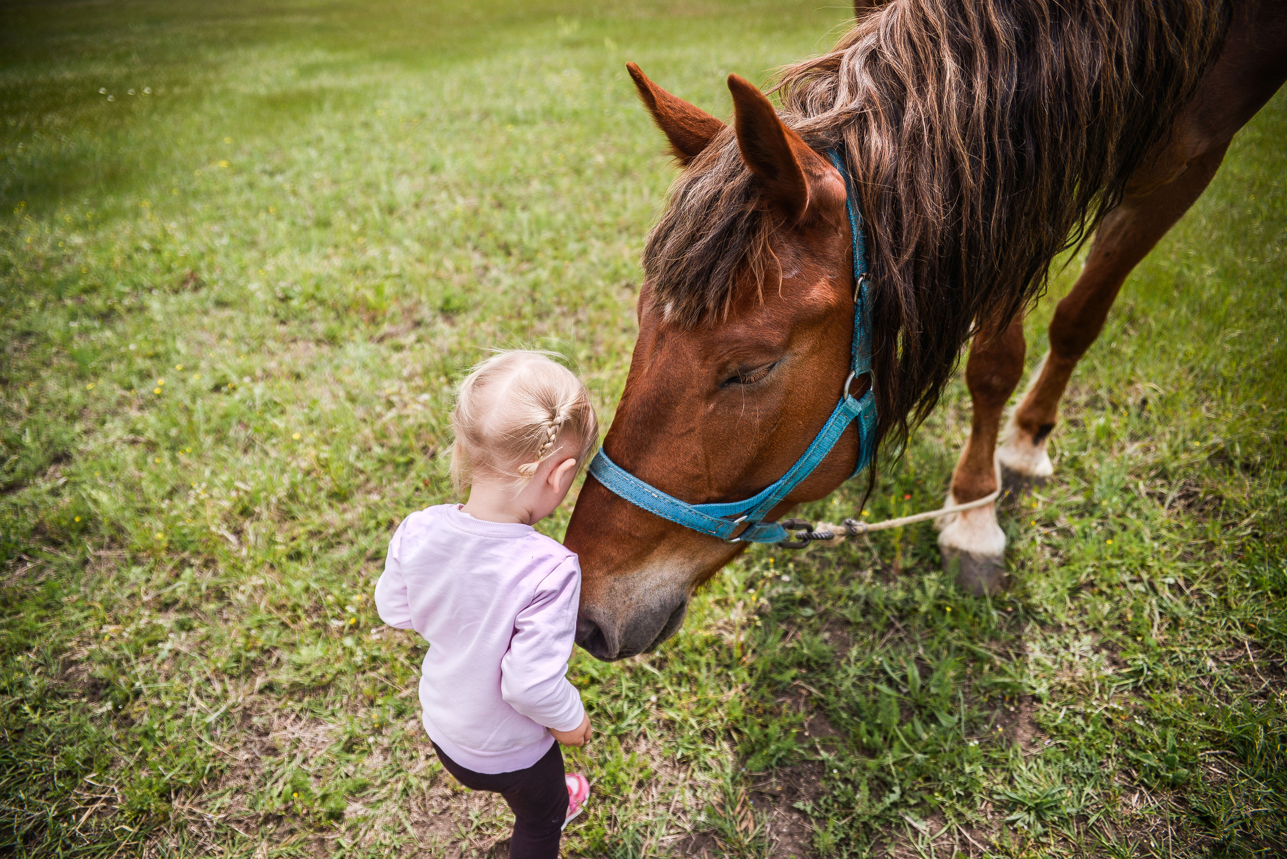 Семейный фотограф в Санкт-Петербурге Льдокова Екатерина