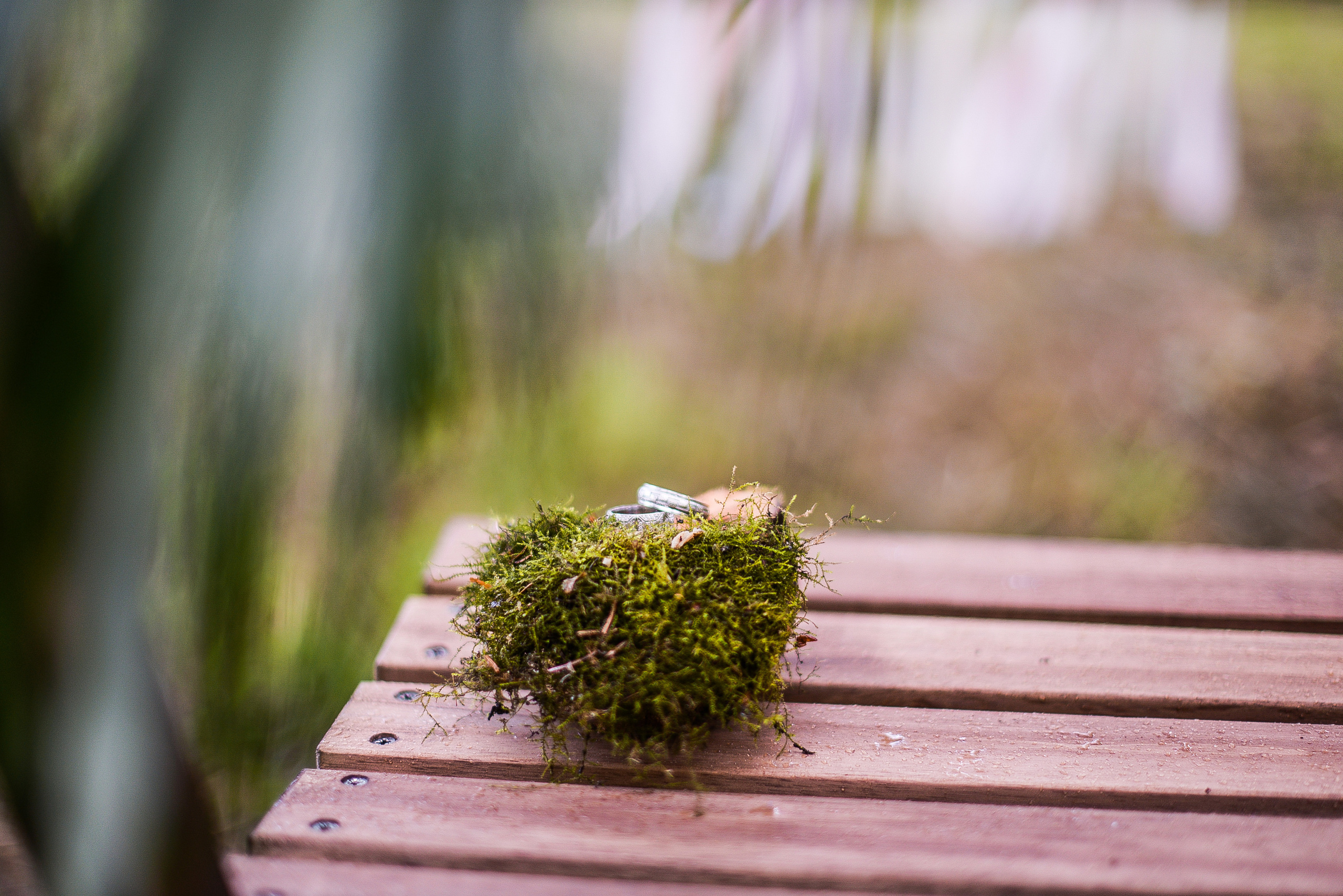 Сергей и Елена. Семейный фотограф в Санкт-Петербурге Льдокова Екатерина